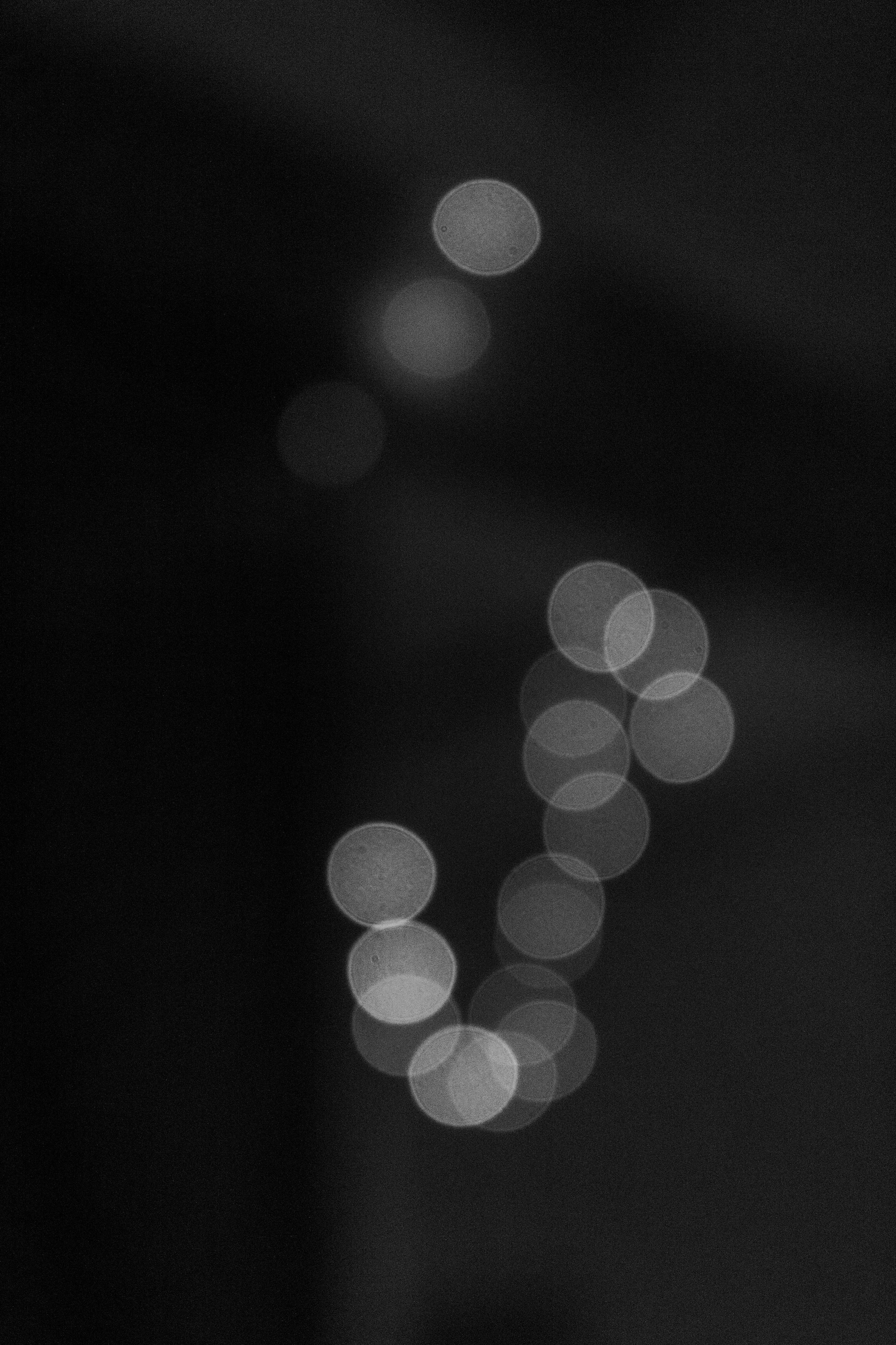 Black and white photo with out-of-focus circular light spots on a dark background.