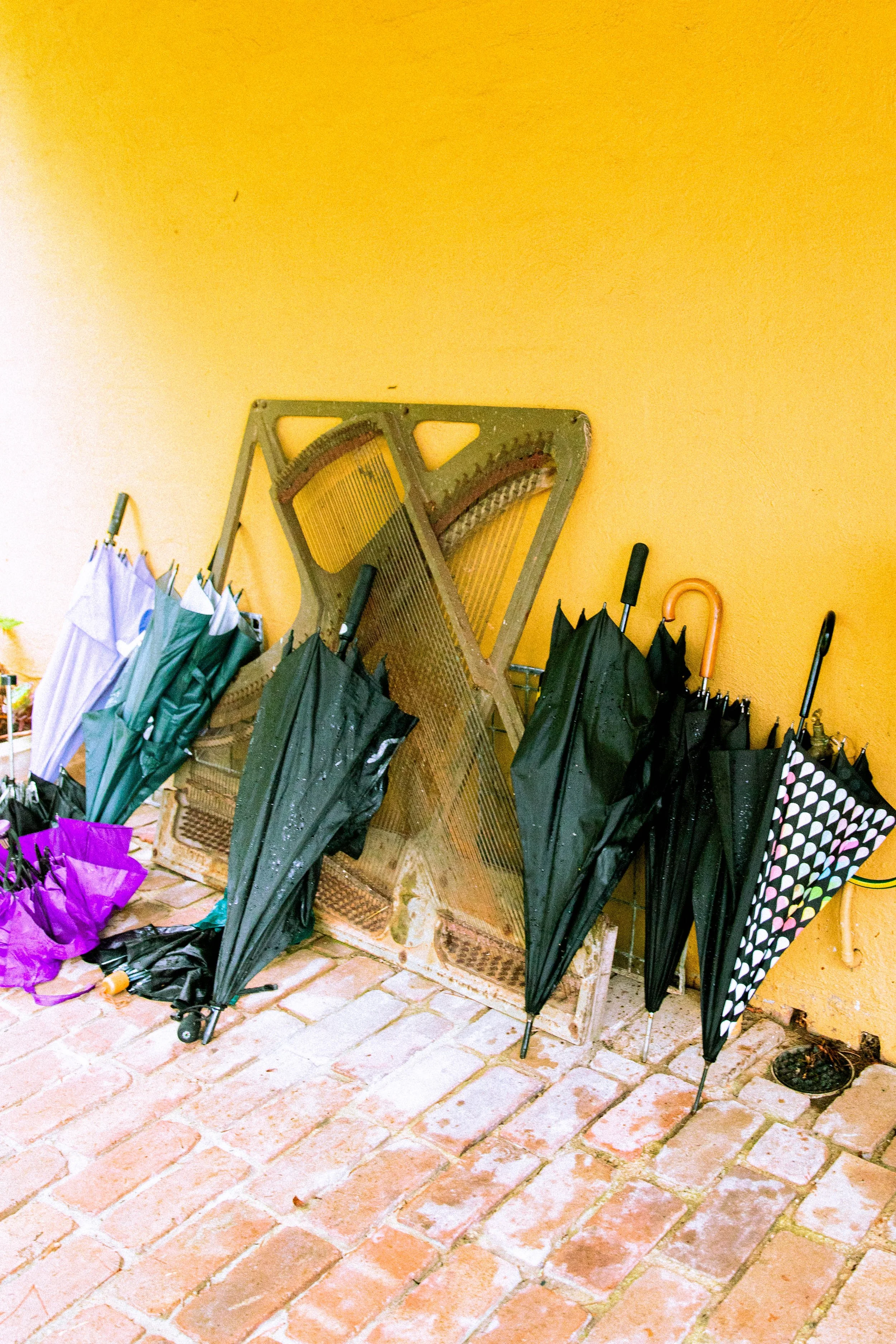 Alia-Grinvalds-Photography-Midsummer-Blue-Mountains-2026 (37).jpg