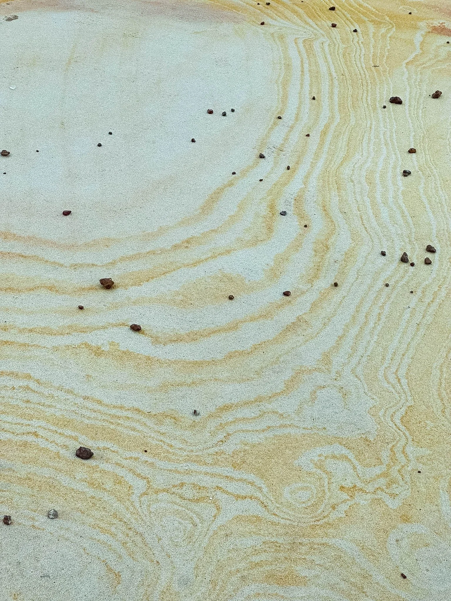 Close-up of a light-colored wooden surface with small scattered dark rocks or dirt particles.