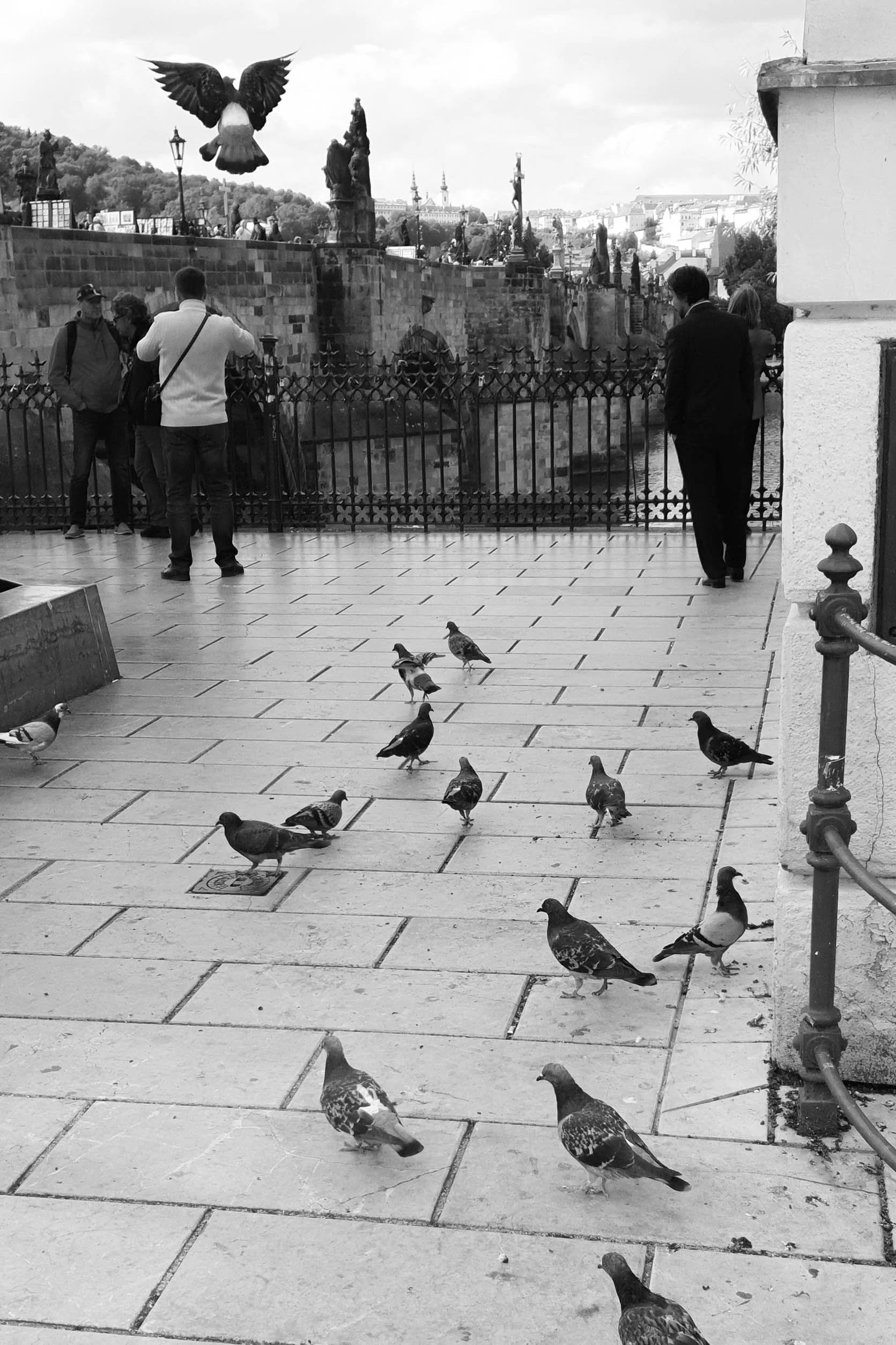 Street scene with pigeons on the sidewalk, people near a black iron fence with a  stone bridge in the background.