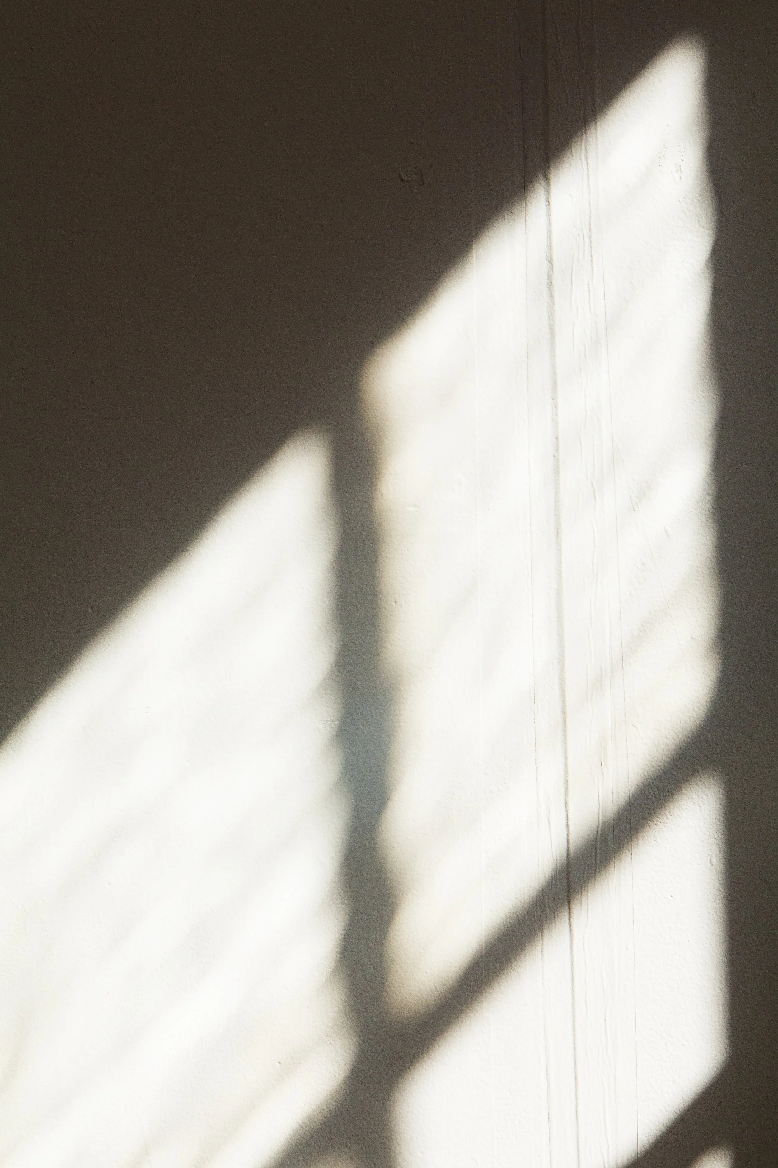 Sunlight casting shadows on a white wall, creating abstract shapes and patterns.