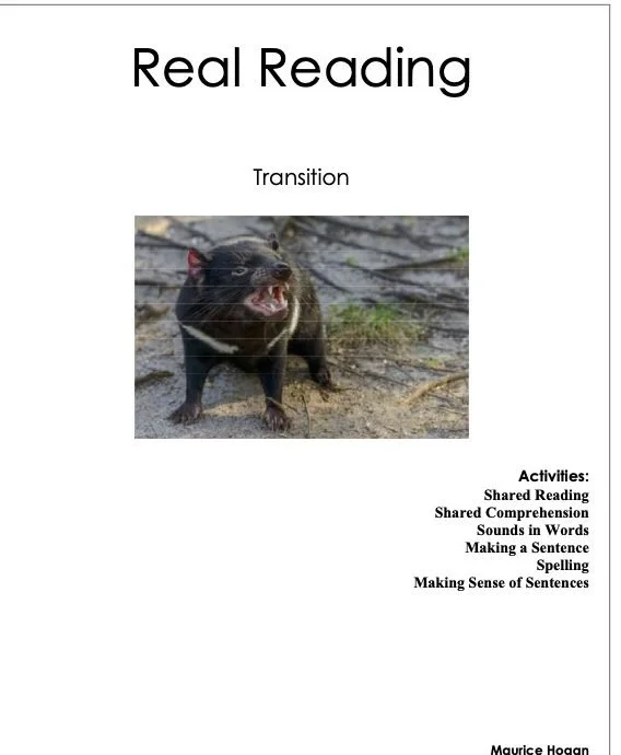 The-Real-Reading-Transition-e1742965242412.jpg