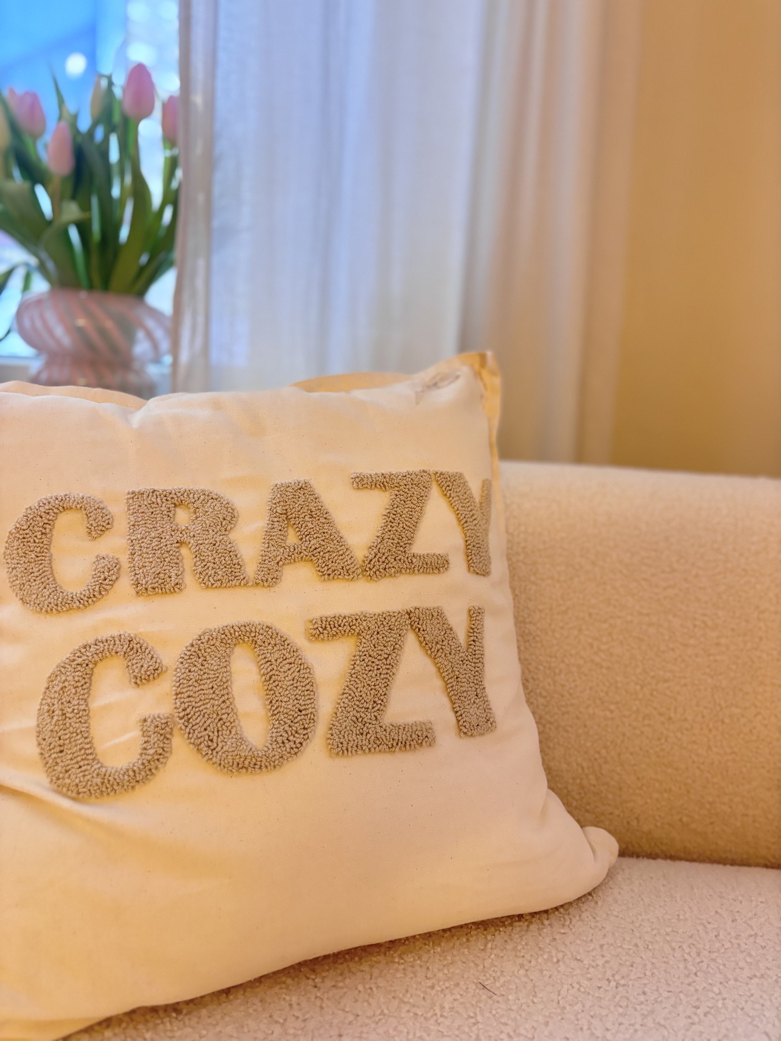 Kissen mit der Aufschrift "CRAZY COLOR" in einem Wohnzimmer, mit Blumen im Hintergrund.