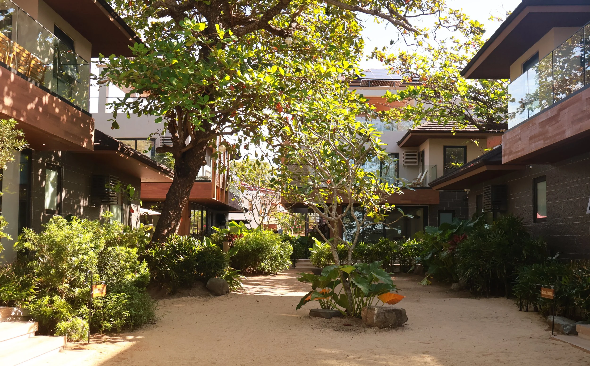 A landscaped courtyard with sandy paths, lush green bushes, and trees, surrounded by modern residential buildings with balconies and large windows.