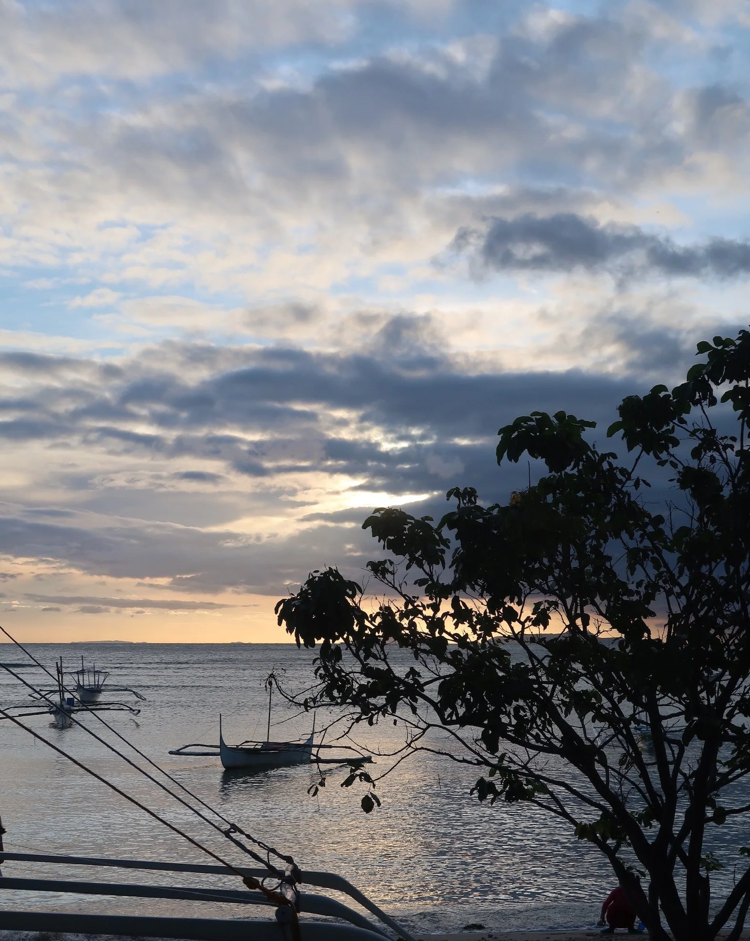 Sunset over a body of water with boats and a tree silhouette in the foreground.