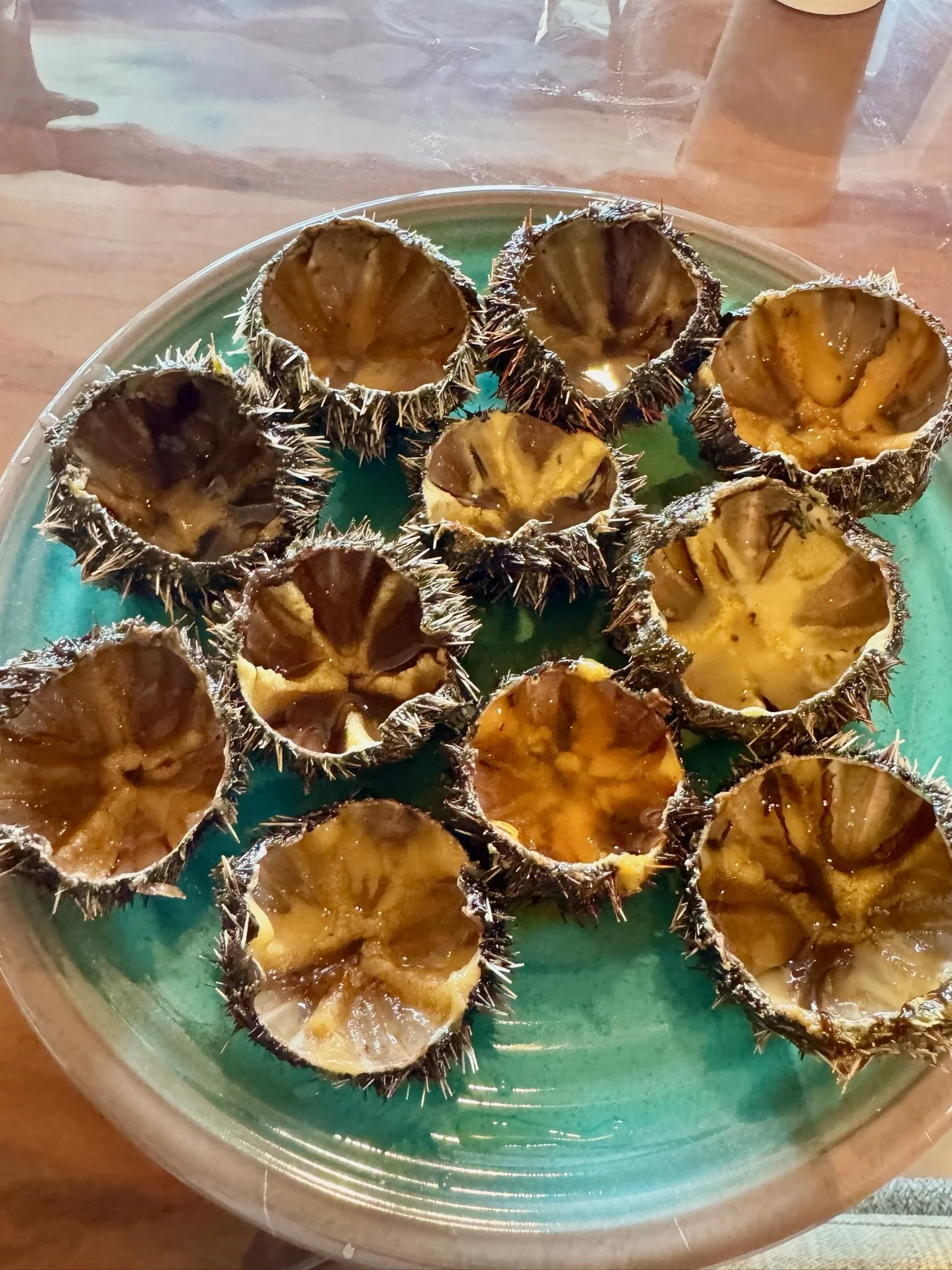 Fresh sea urchins!