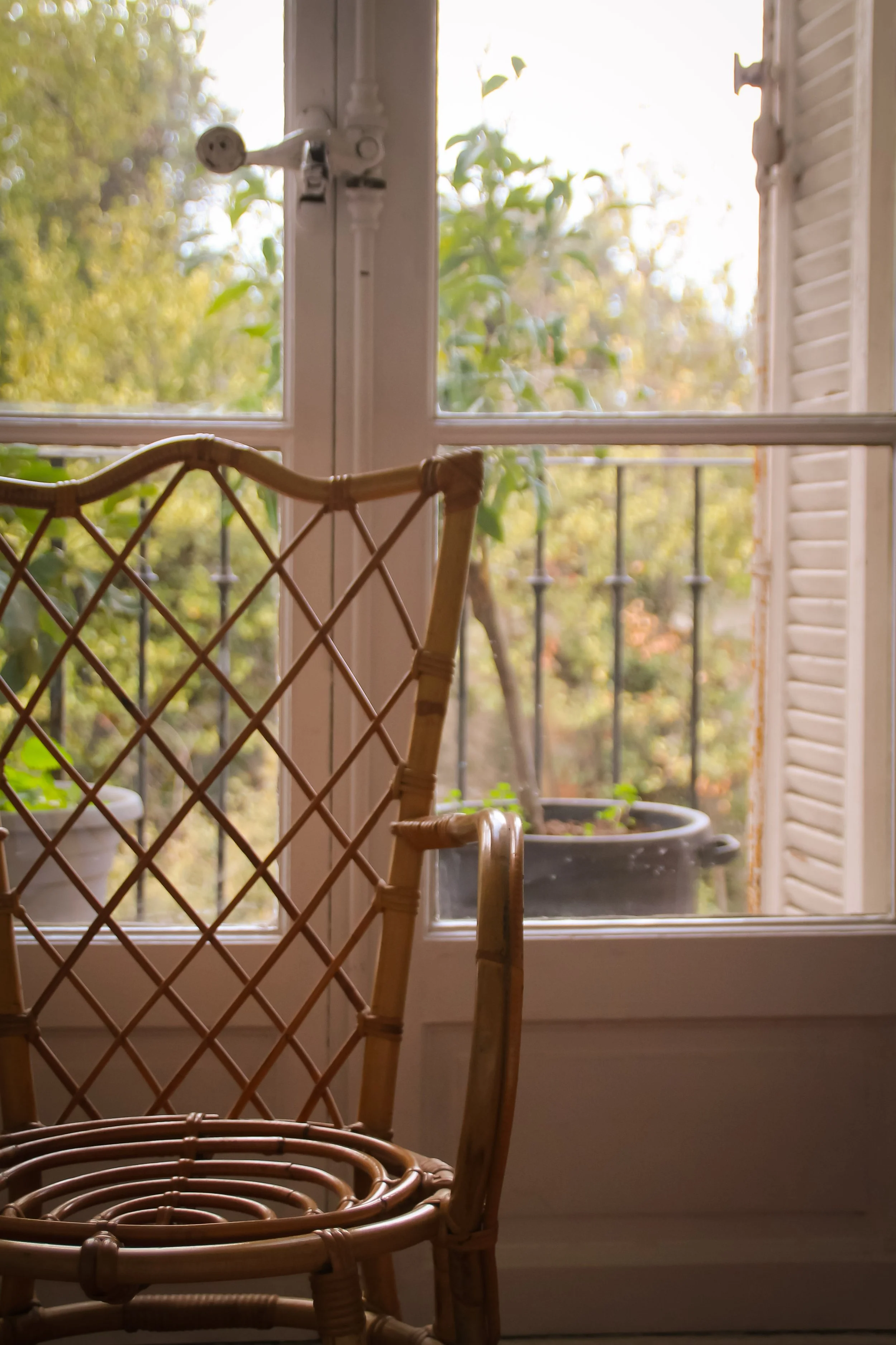Une chaise en rotin près d'une fenêtre ouverte avec des volets, donnant sur un balcon avec un pot de fleurs et un arbre en arrière-plan.