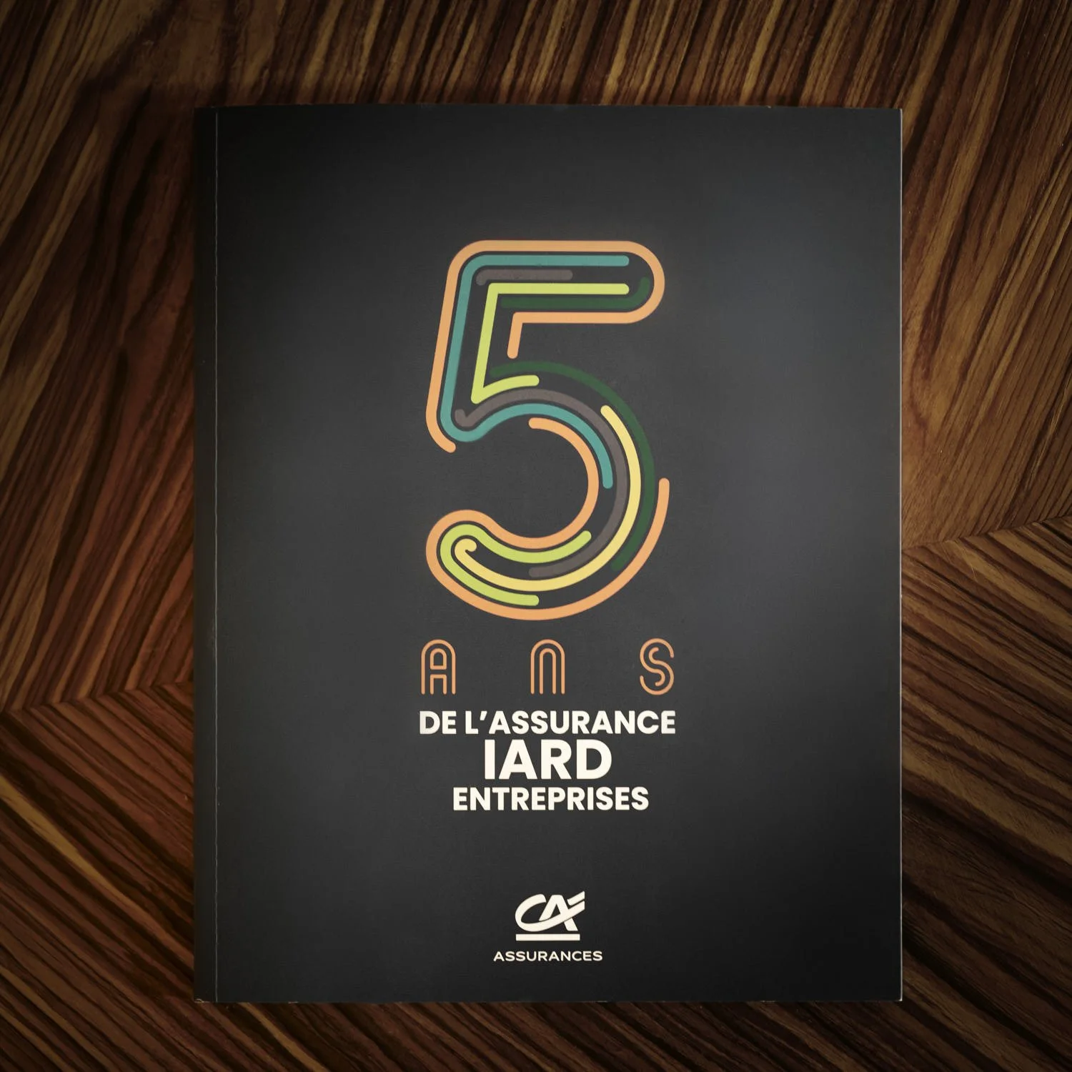   

  
Pacifica — livre anniversaire
 

 CORPORATE · ÉDITION · PORTRAITS 

  
Livre anniversaire réalisé pour les 5 ans de l’IARD Entreprise de Pacifica.
Une série de portraits corporate plus libres, pensée pour un support éditorial interne.

 Lire l