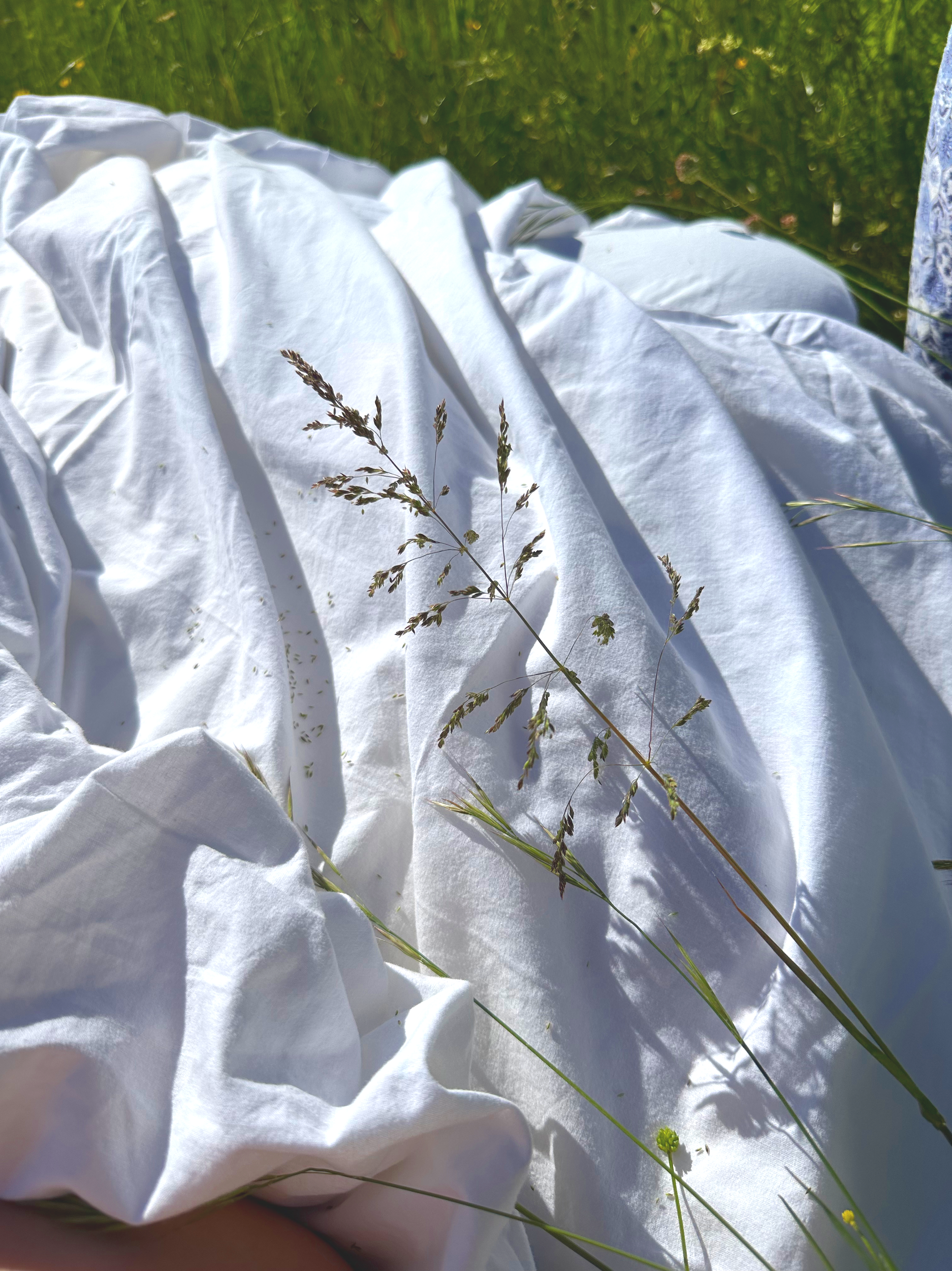 Un tissu blanc posé sur l'herbe verte avec quelques plantes sauvages autour.