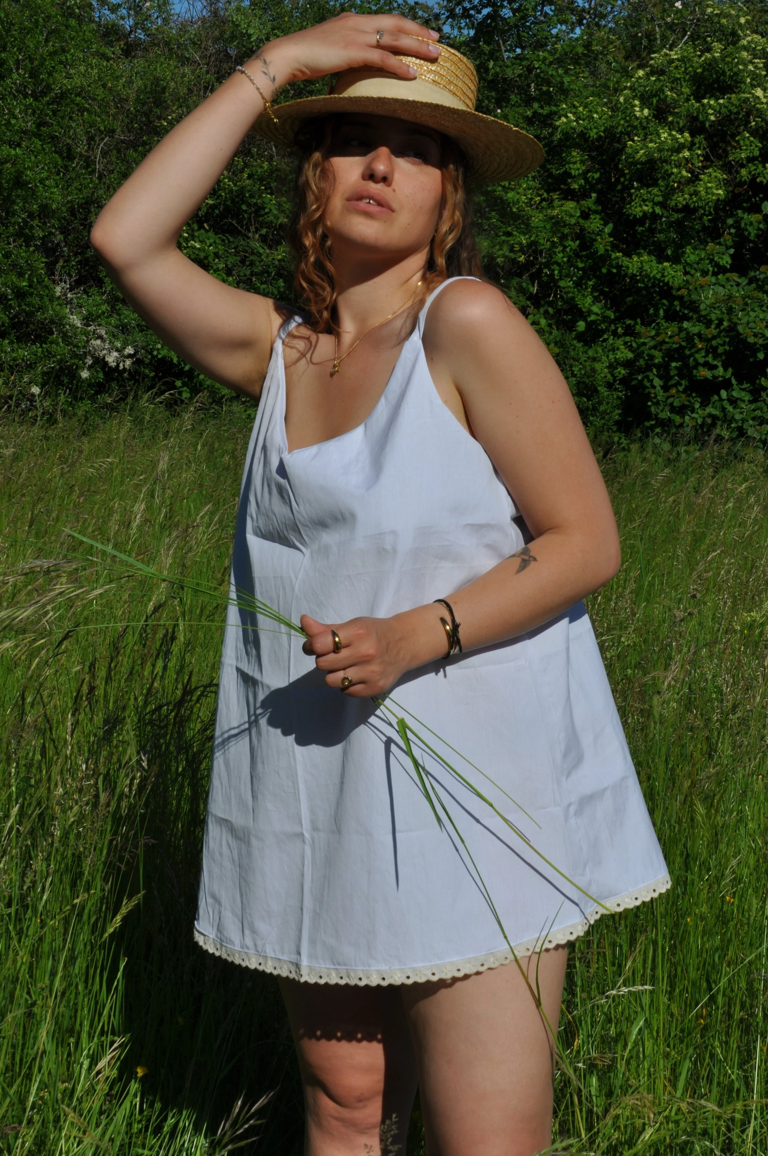 DSC_0527.JPG