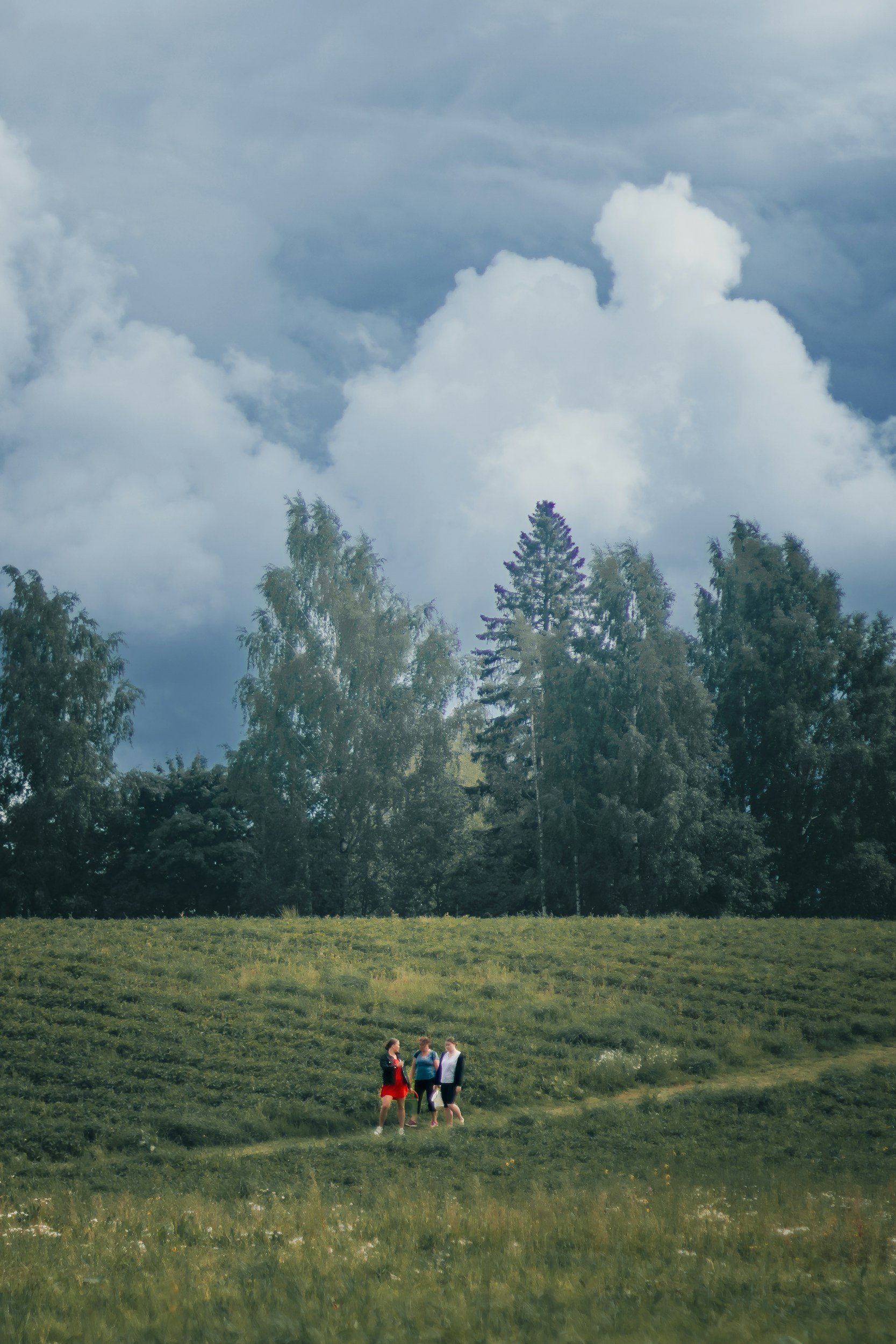 kenelle lapsivakuutus fenniasta?