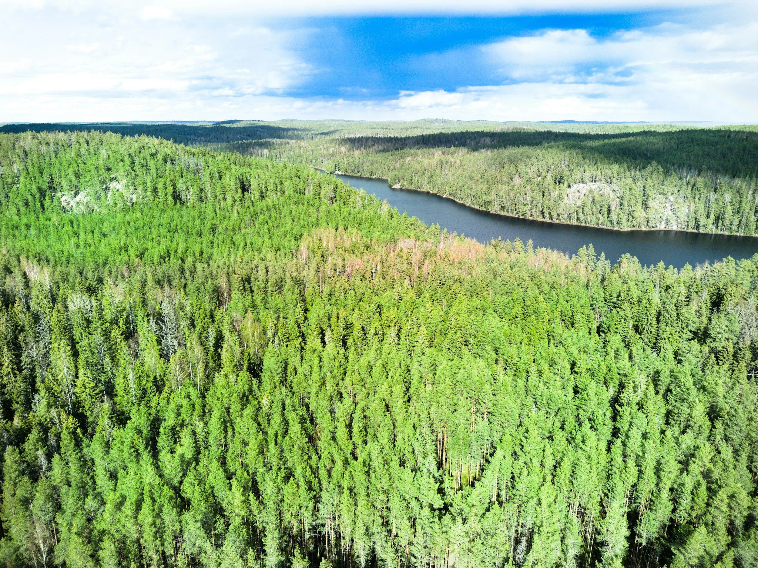 Paras terveysvakuutus fennia 2026 vakuutusedustaja Joonas Nordström.