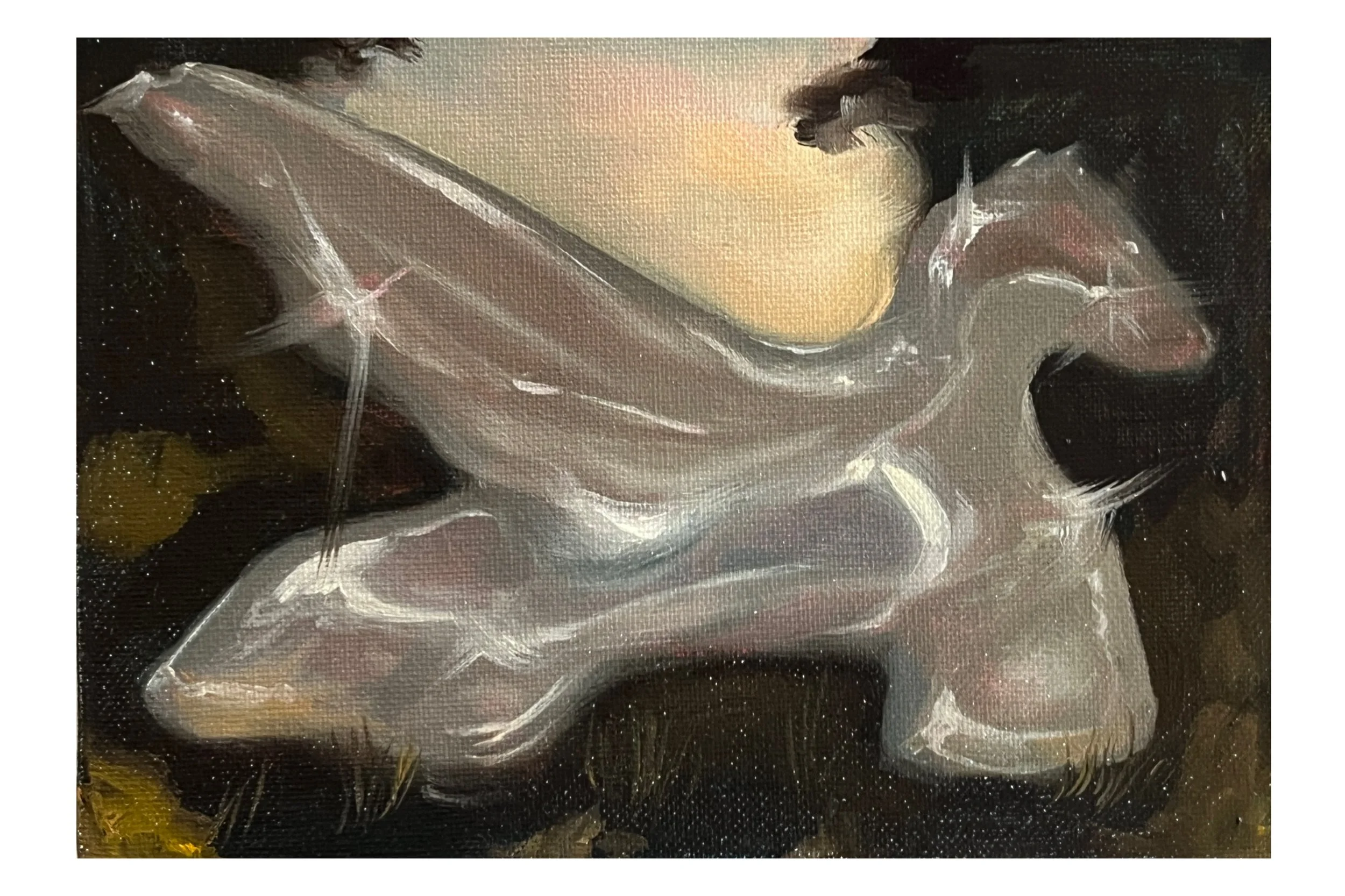 Collection of Once, 2025, oil on canvas, 5" x 7" 