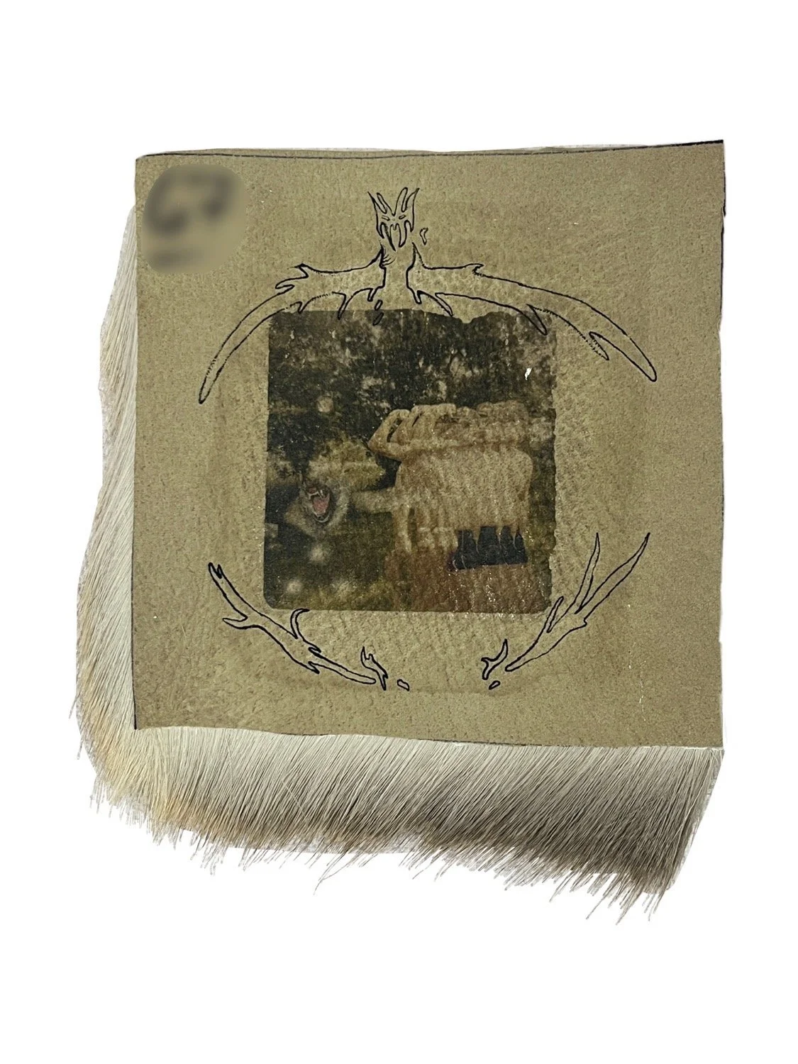 Repetition and Antlers, 2023, Photo Transfer and tattoo ink on deer skin with hair, 6" x 6"