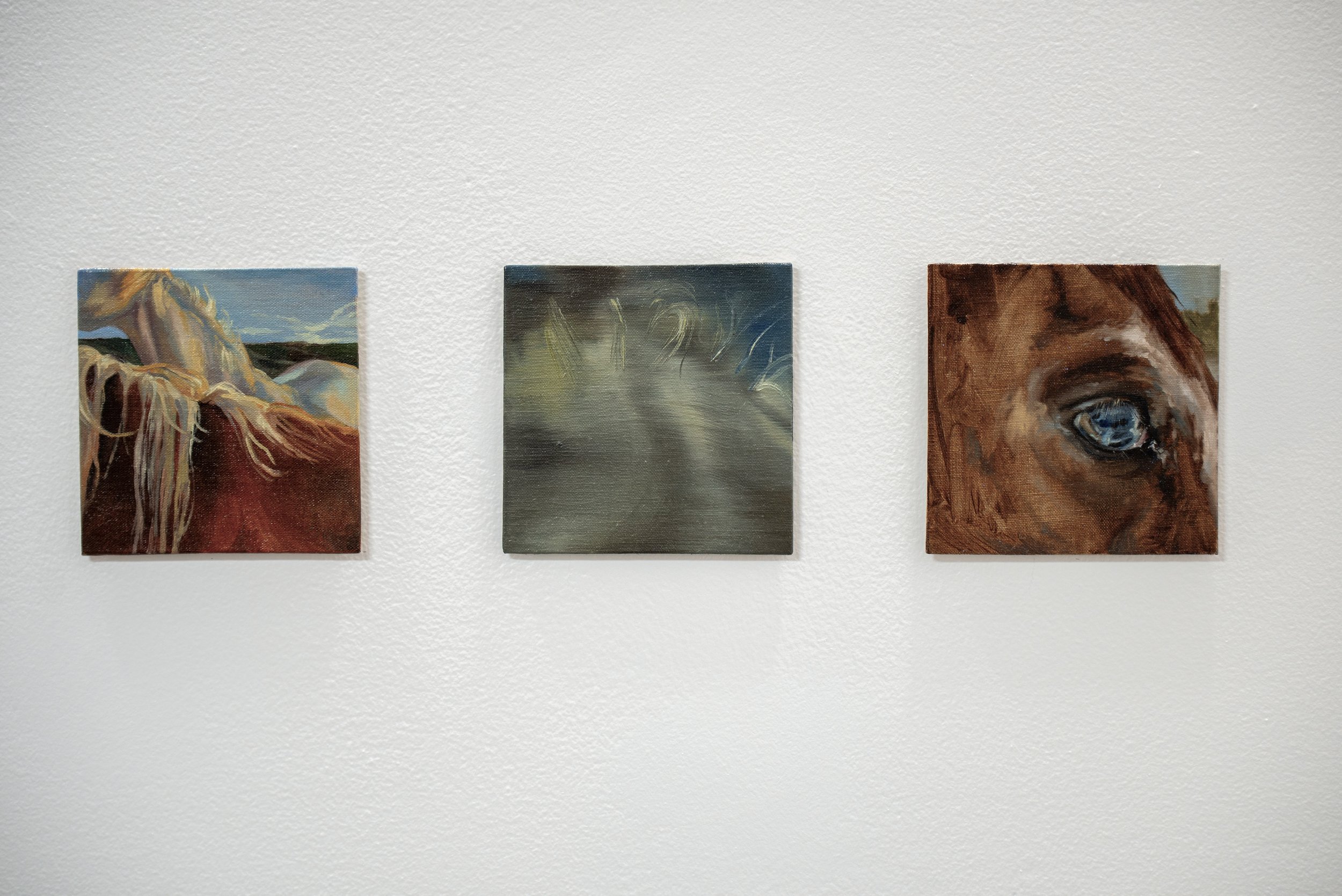 small horse oil paintings, 2026.jpg