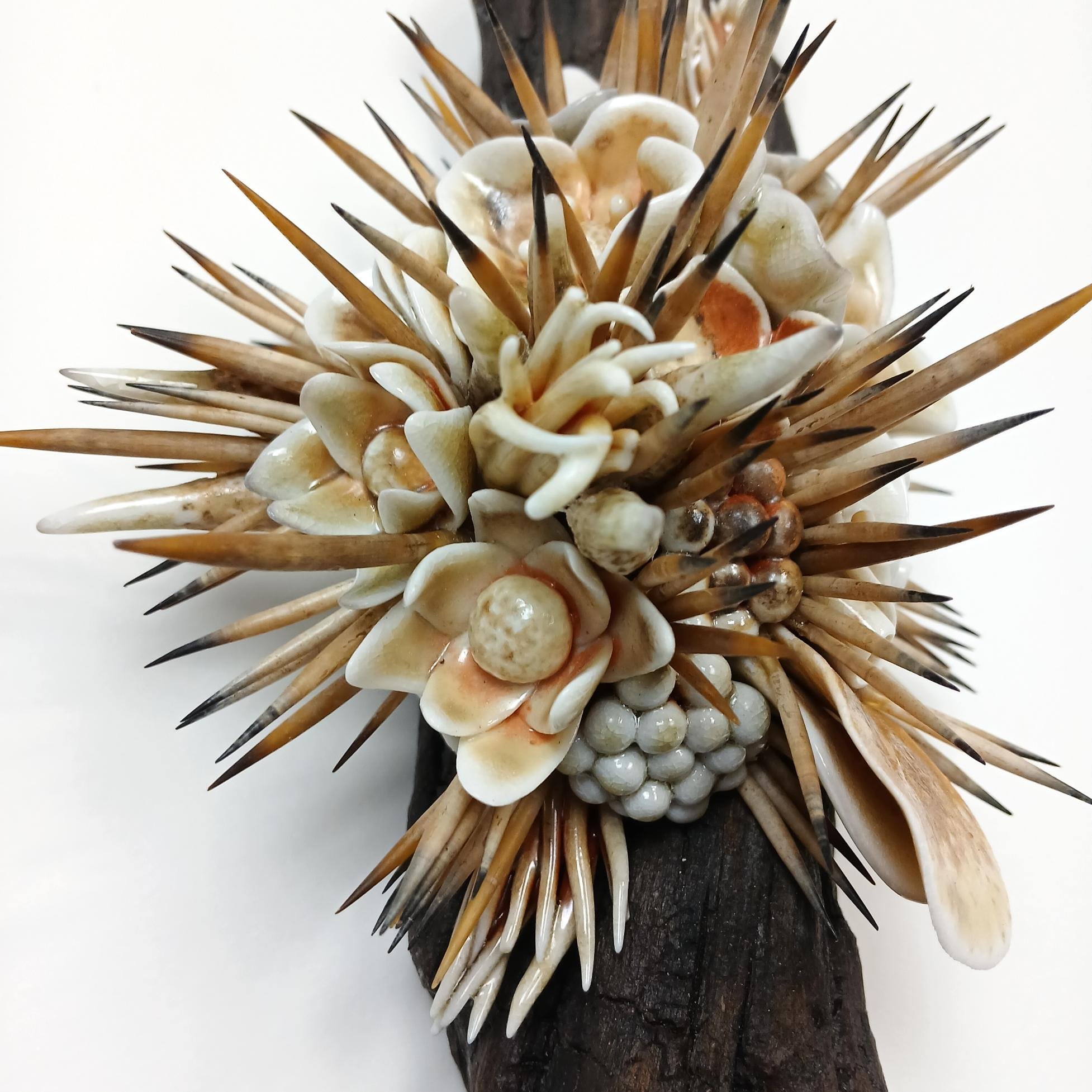 Lauren_Hotson_Quills_and_Petals_No.1_11.jpg