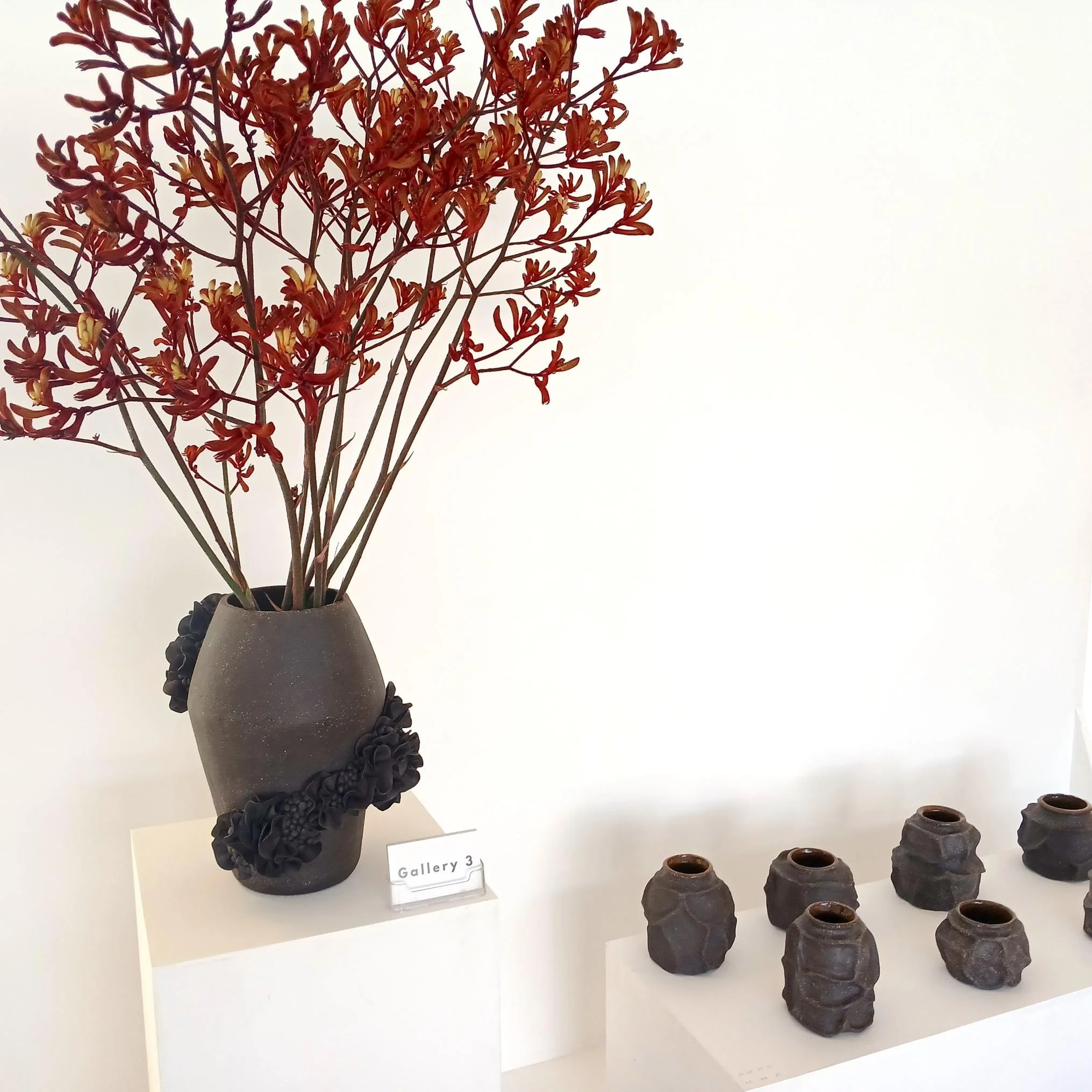 Shadows of Resilience