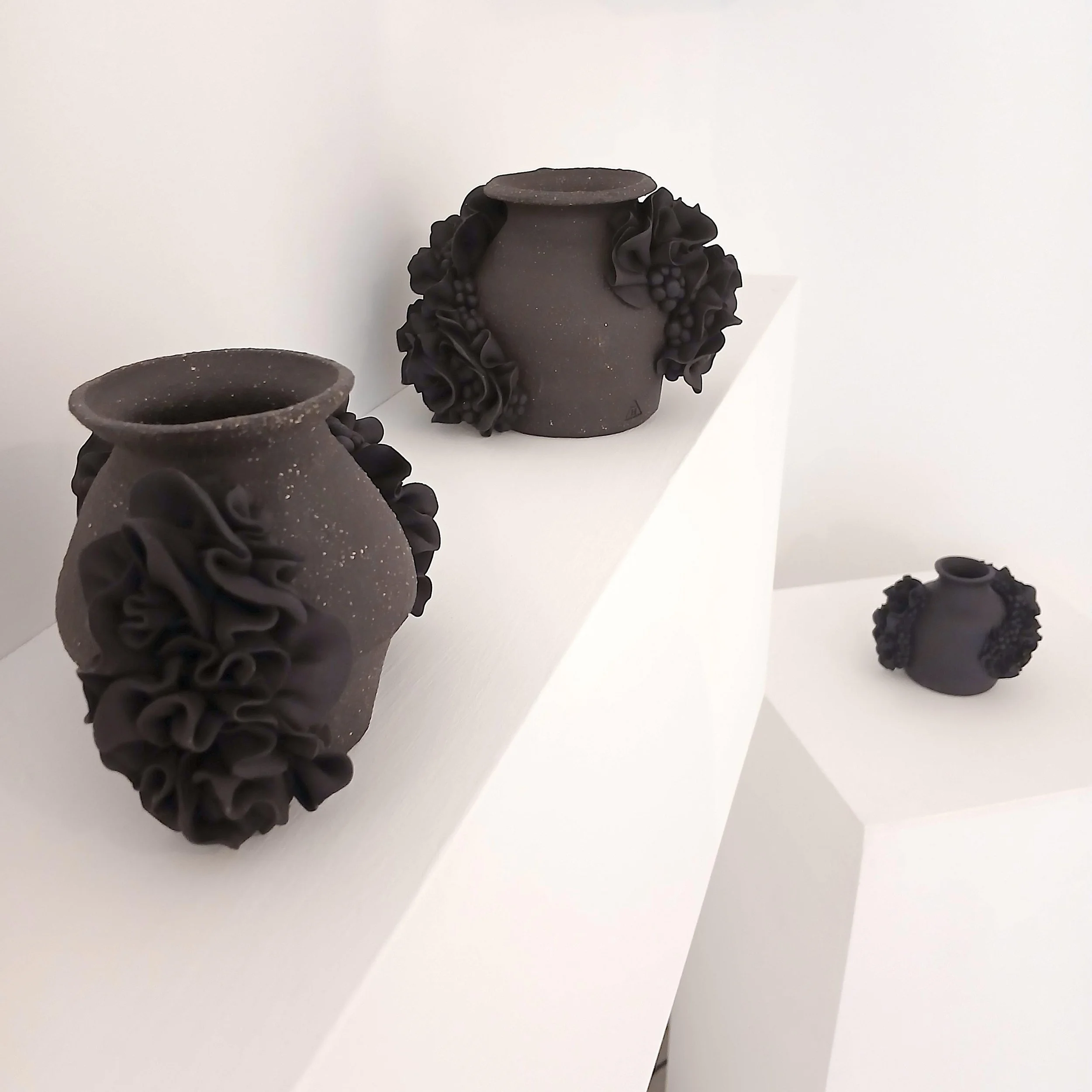 Lauren_Hotson_Shadows_of_Resilience_Exhibition_Launch_Event_9.jpg