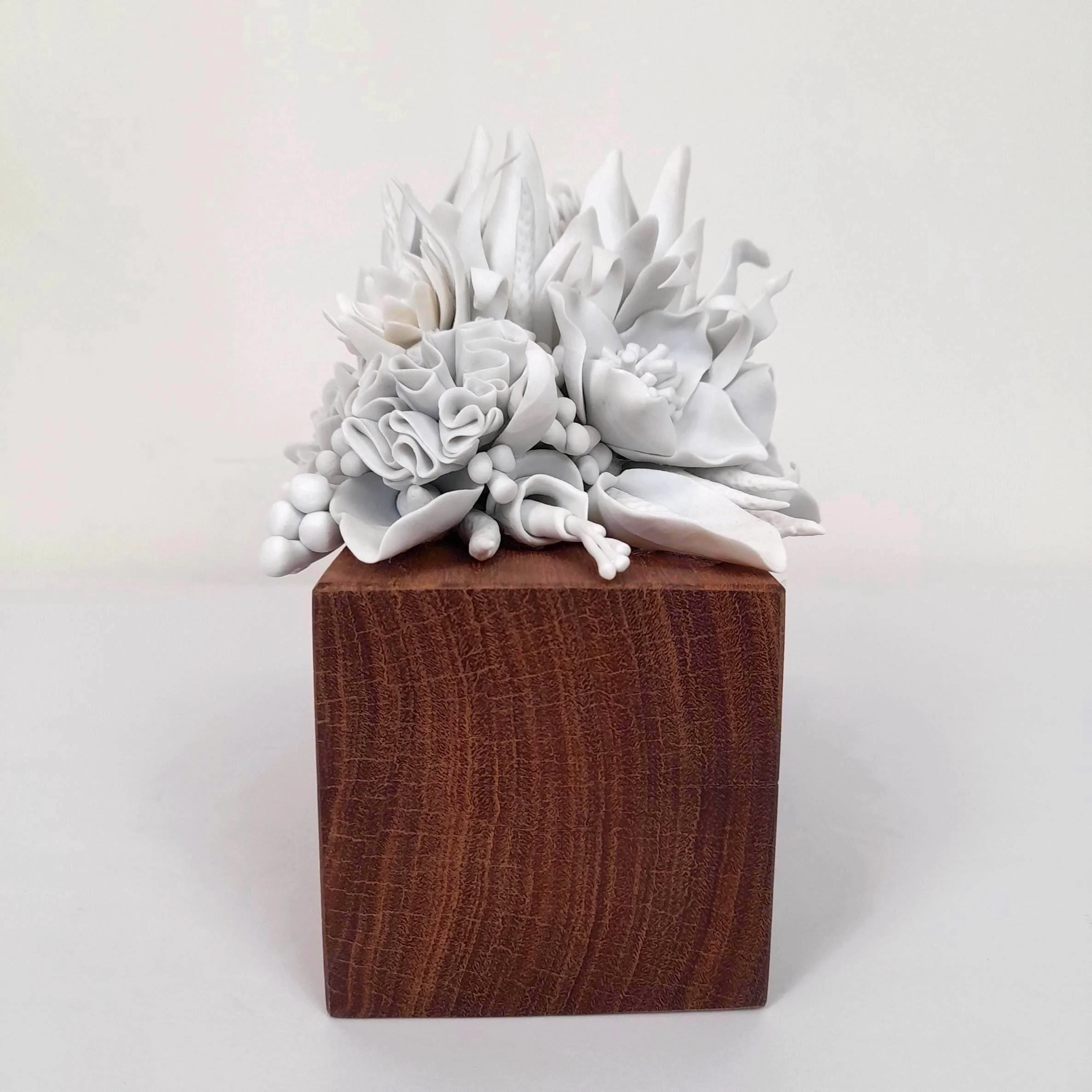 Lauren_Hotson_Ceramics_King Protea No.1_5.jpg