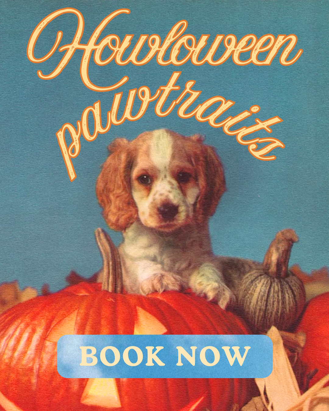 Howl-O-Ween
