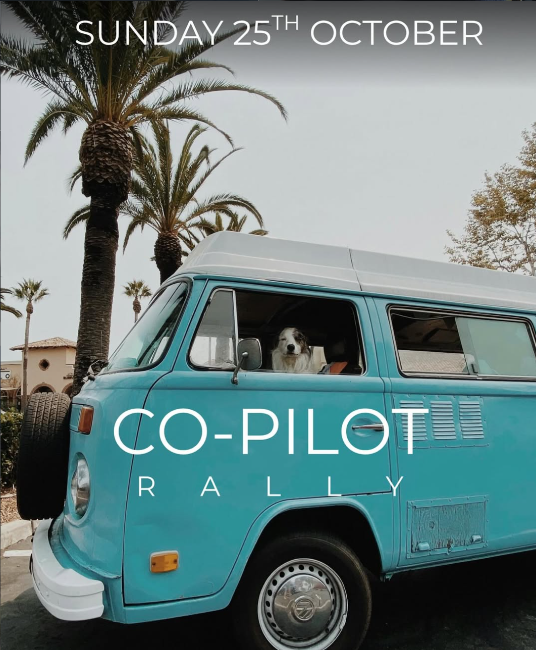 Co-Pilot Rally
