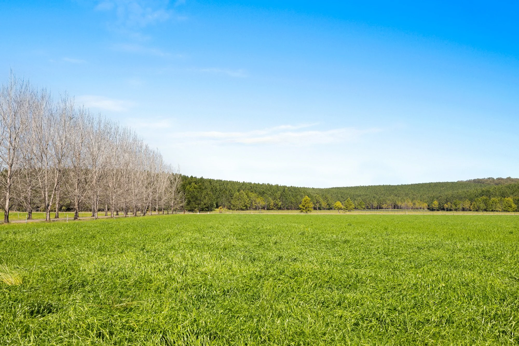 365 Knights Road, Doubtful Creek_33.jpg