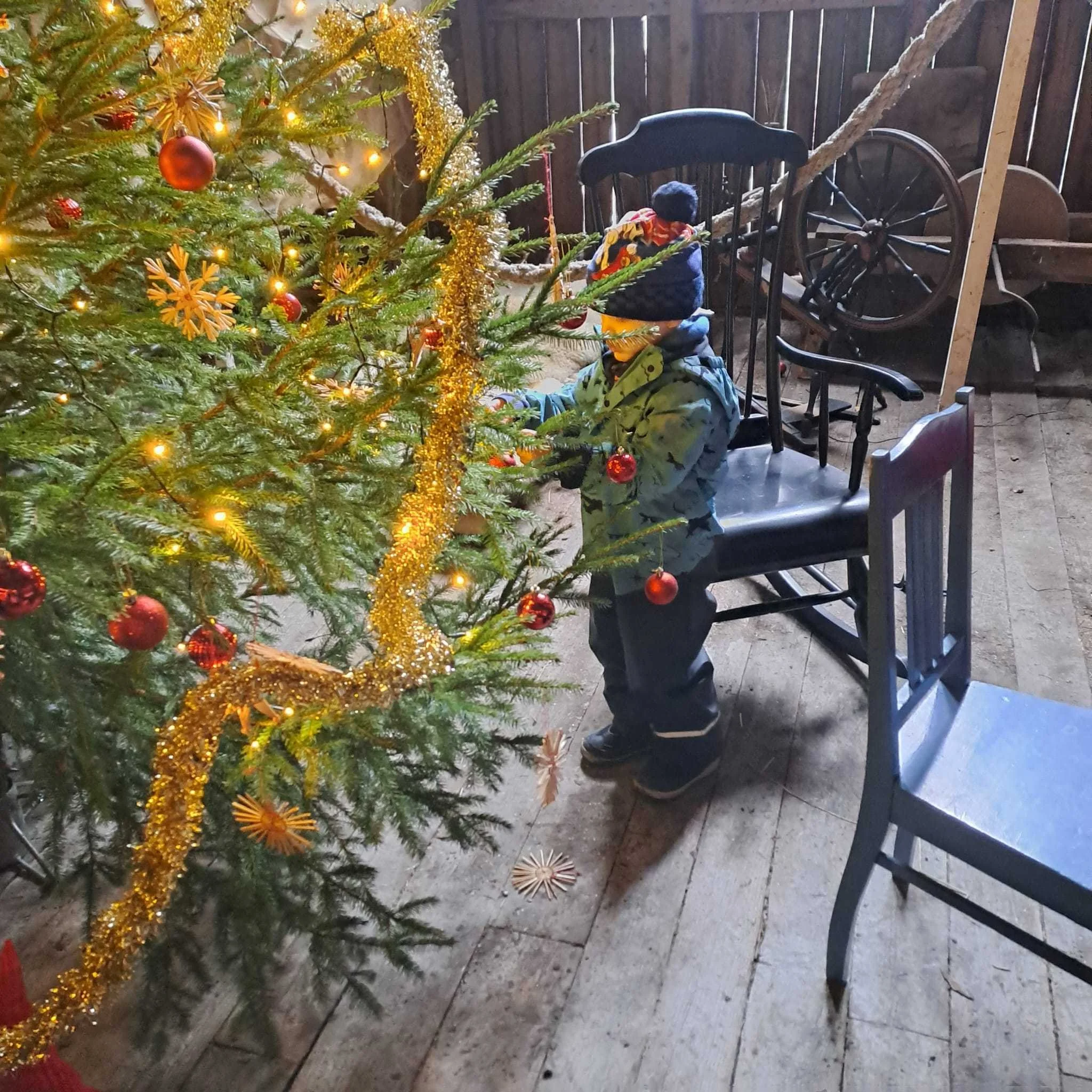Pieni poika koristelee joulukuusta