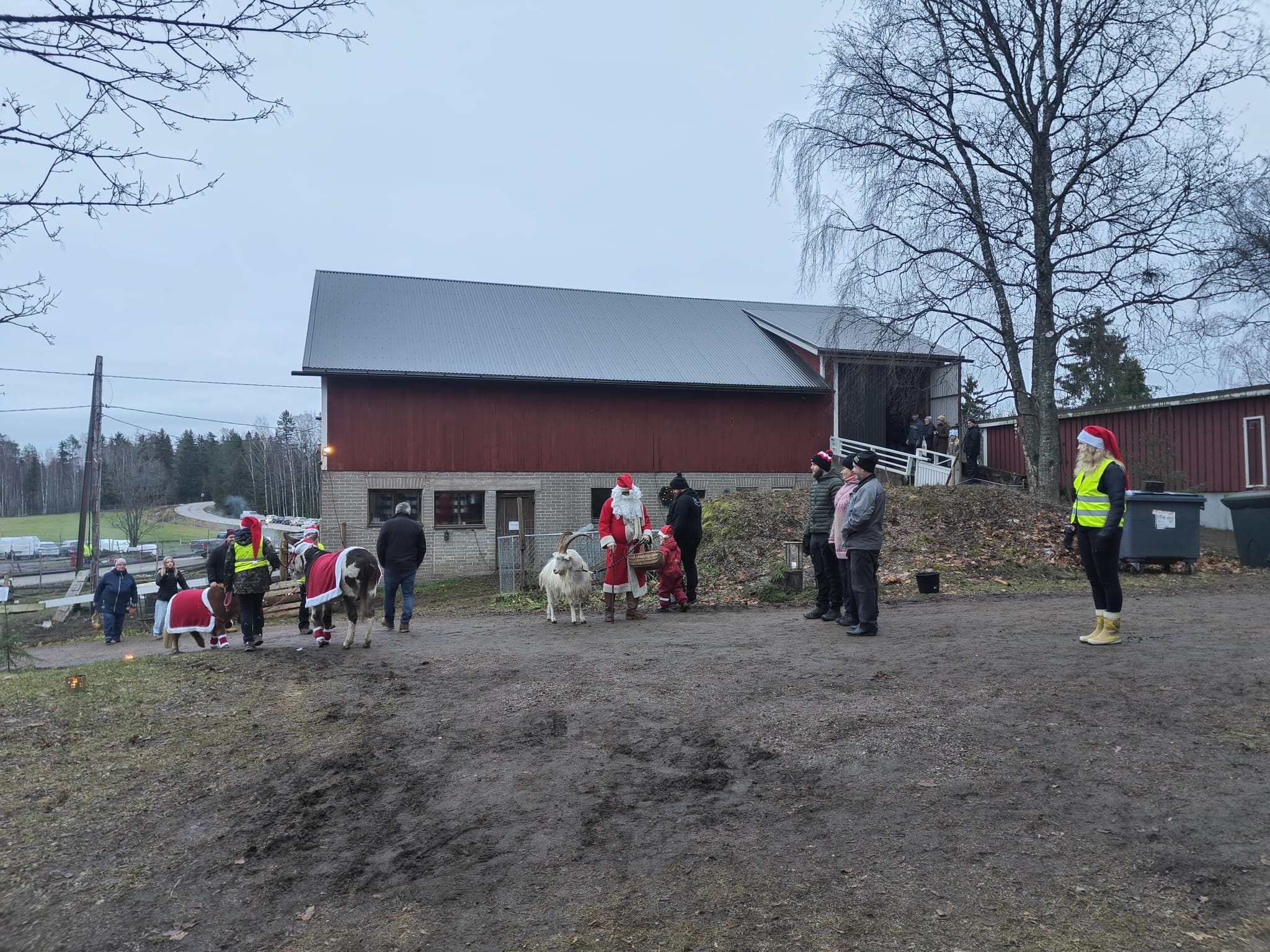 JOuluisesti puetut eläimet ja heinän esittäjänsä