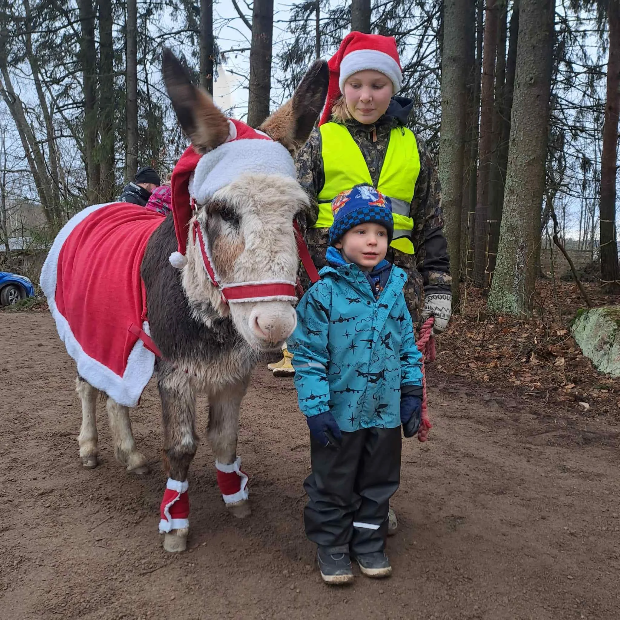 JOuluasuun pukrutunut aasi, sekä kaksi ihmistä