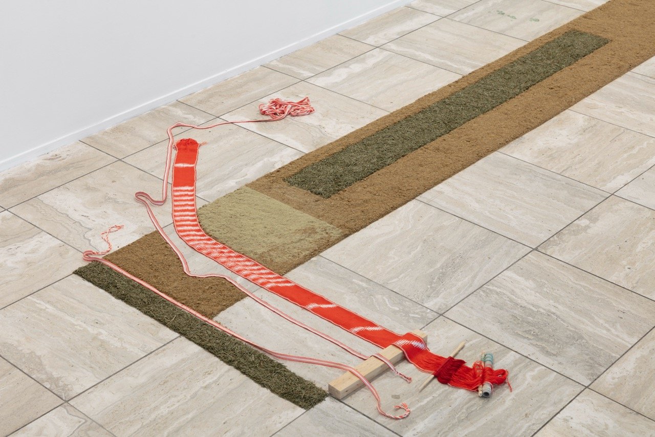 2025_09_Sandefjordkunstforening_TILSIKTEDE_LINJER_HighRes_8 Large.jpeg