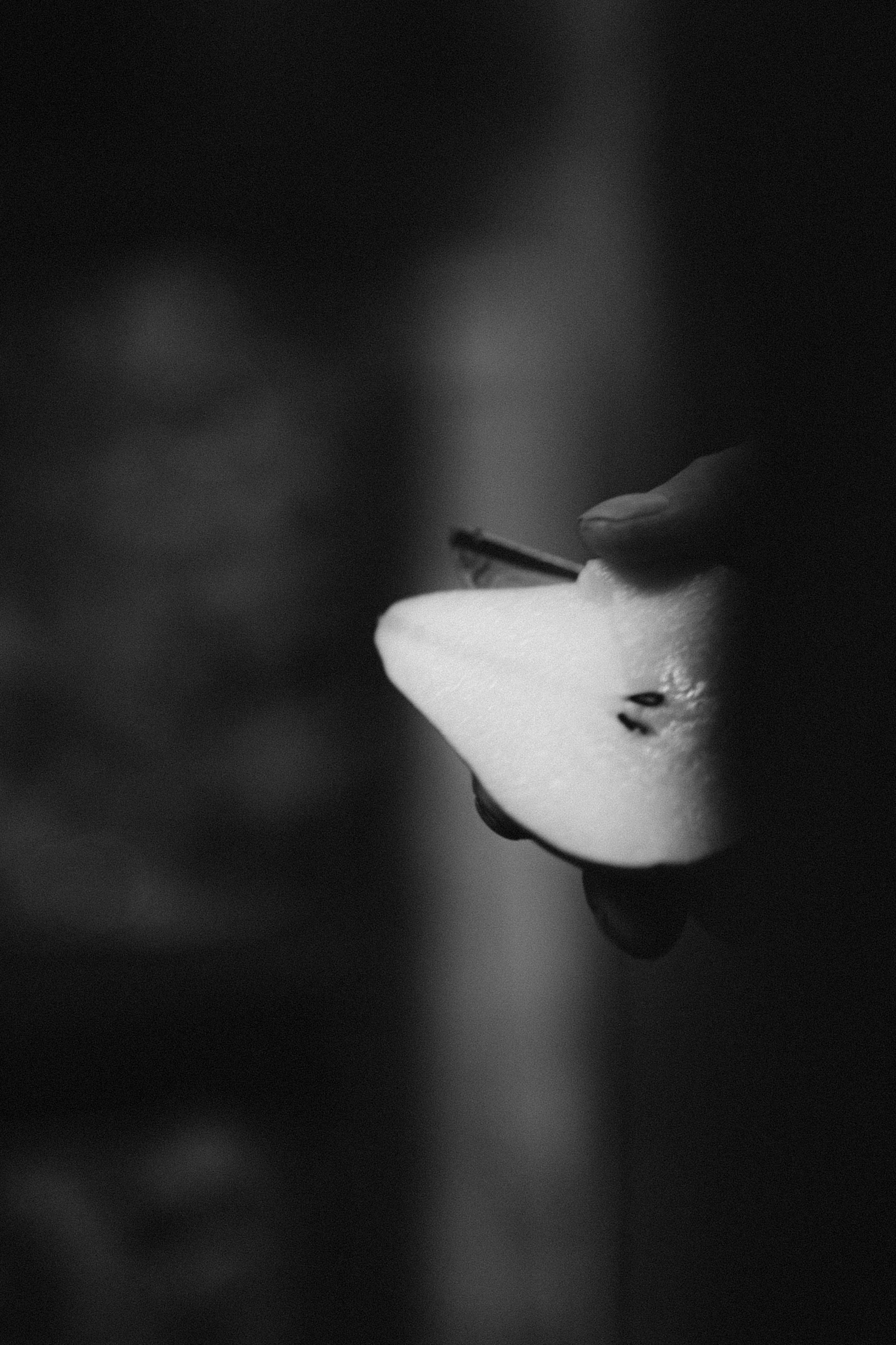 sigy_kops_photography_hansvanwolden-43.jpg