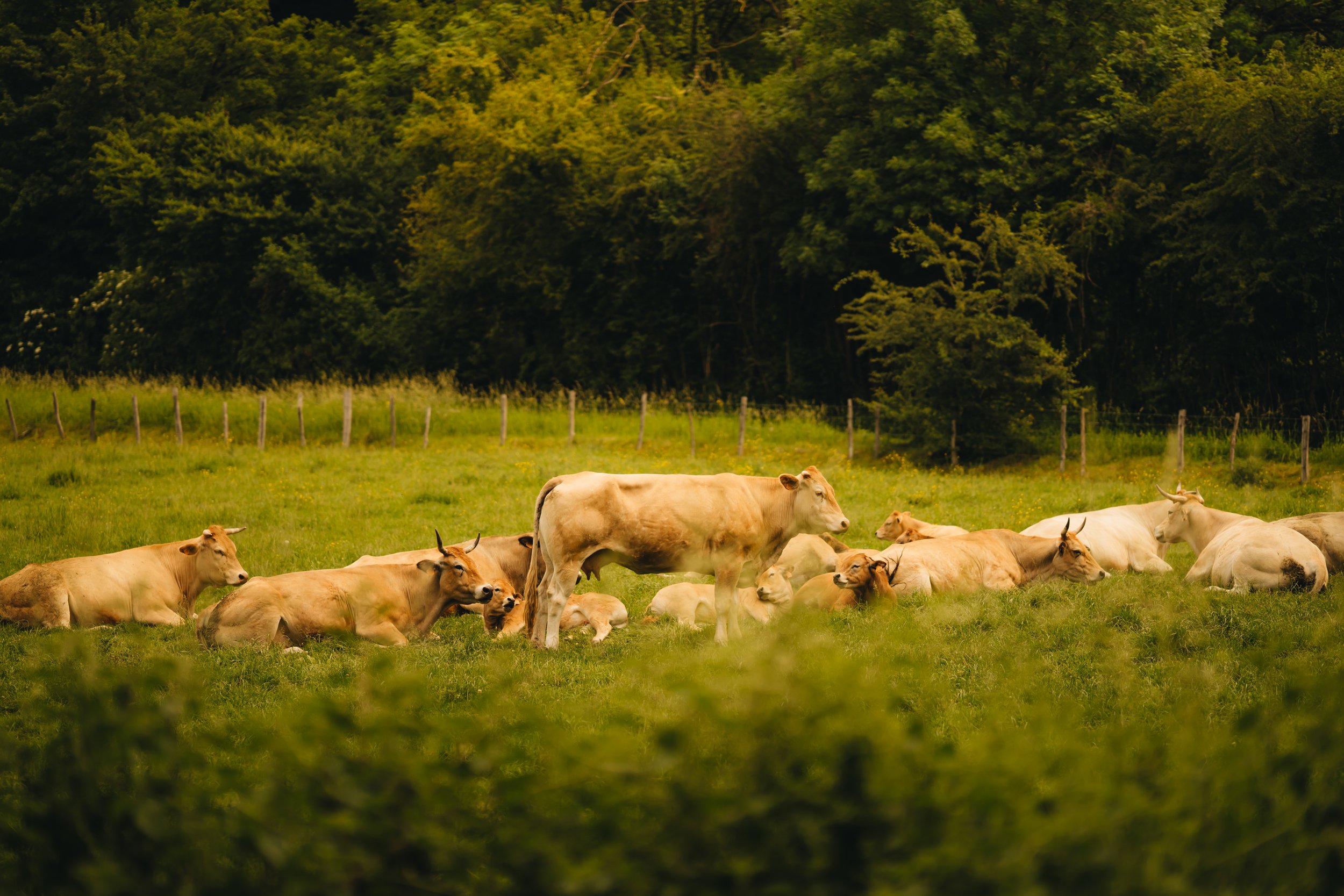 sigy_kops_photography_hansvanwolden-41.jpg