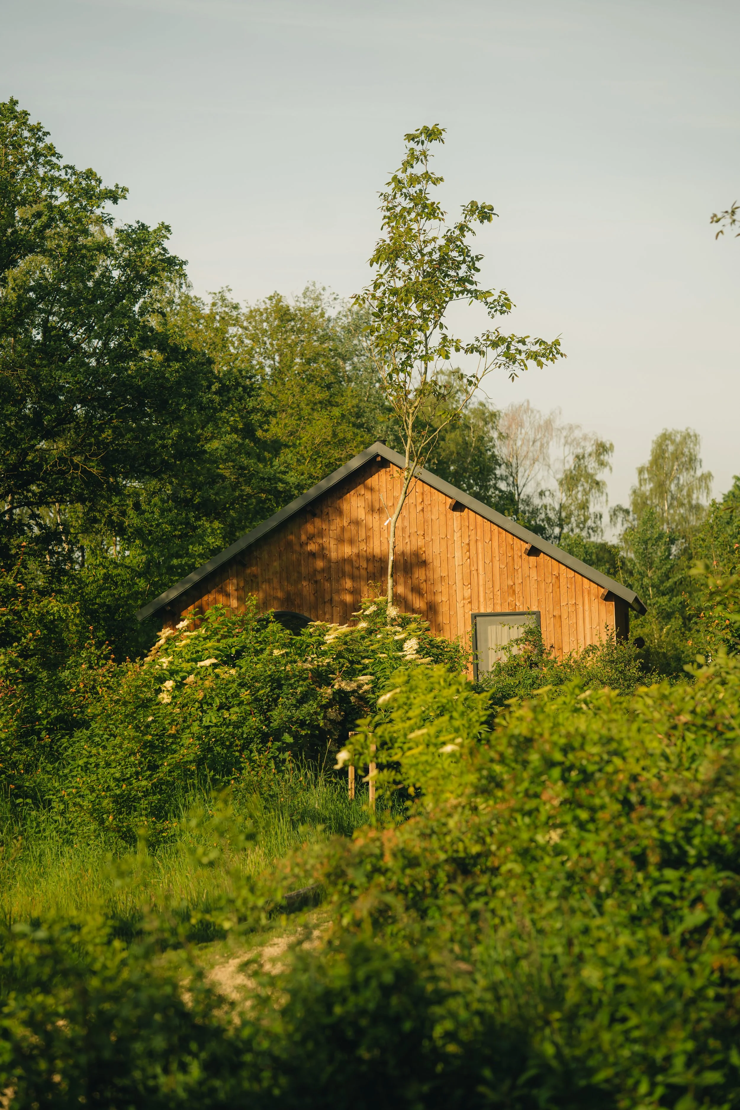 sigy_kops_photography_tinyhotel-39.jpg