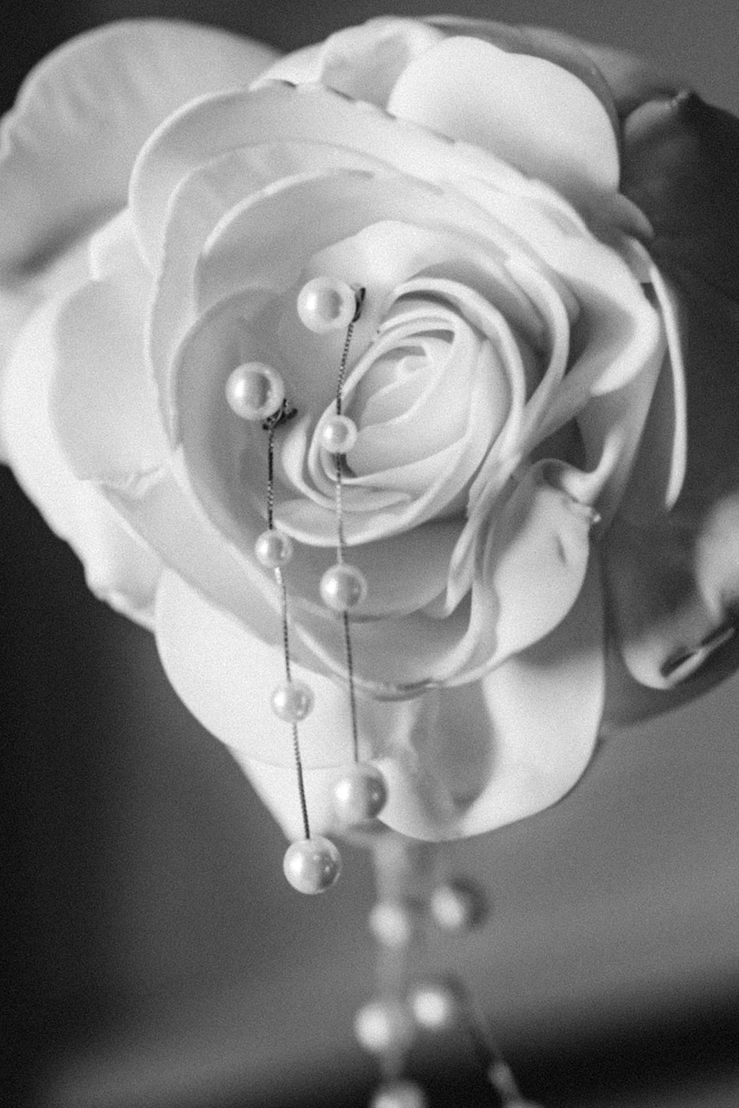 sigy_kops_photography_wb-2_websize.jpg