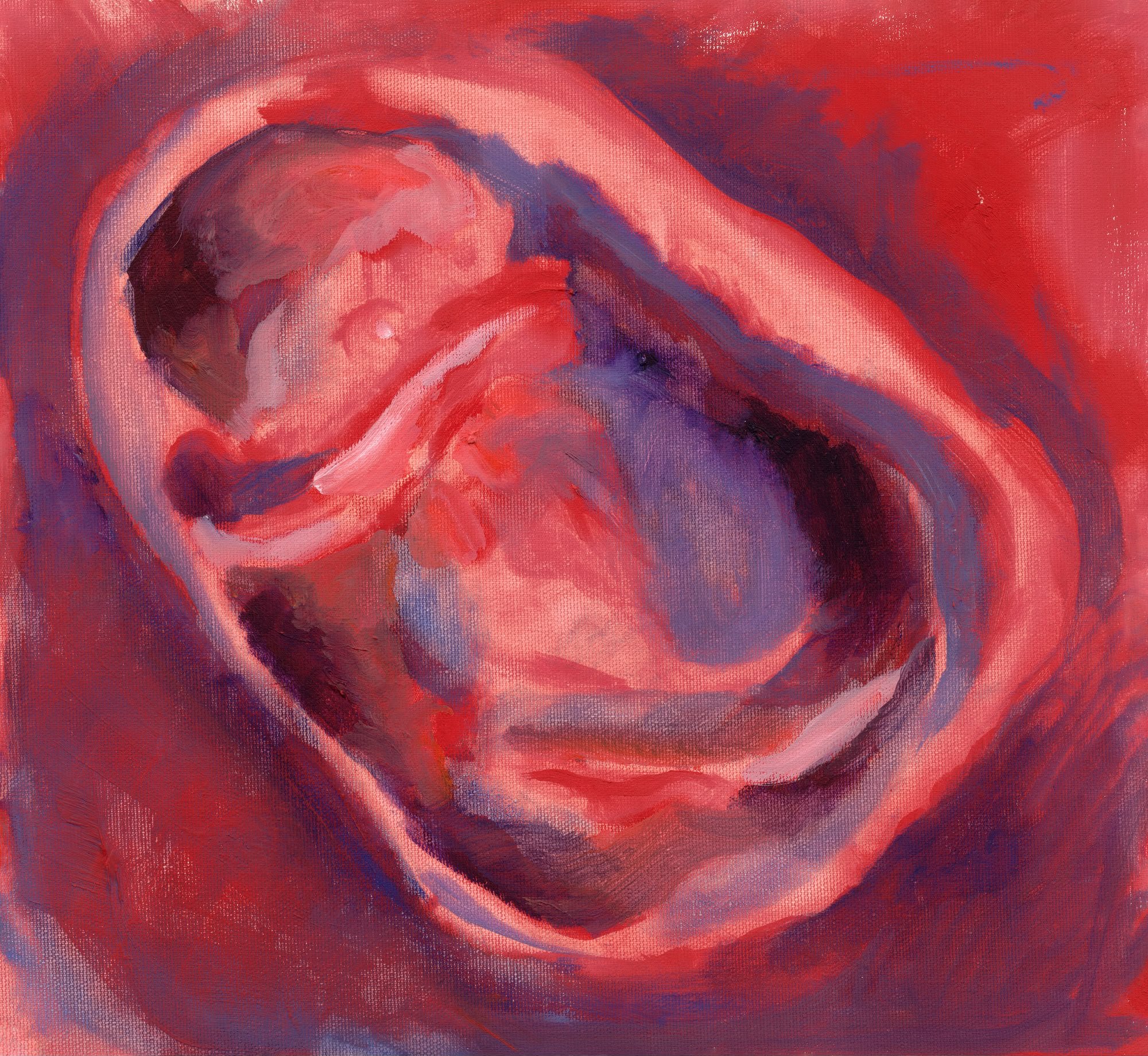 Abstract painting in shades of red, pink, and purple with swirling, layered brushstrokes.