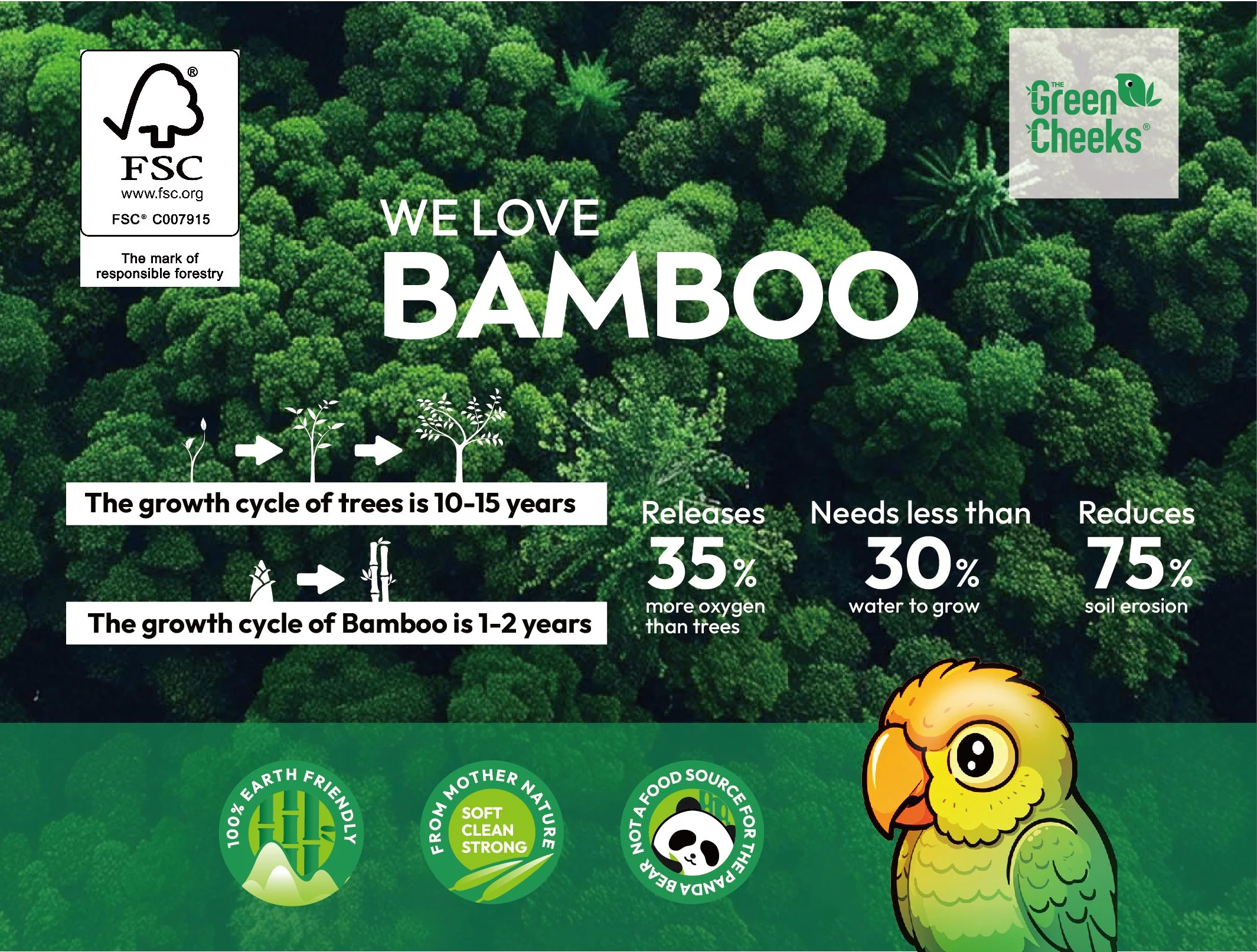 A green infographic about bamboo and trees, featuring the FSC logo, Green Cheeks cartoon parrot, and icons promoting eco-friendly, natural, and sustainable practices.