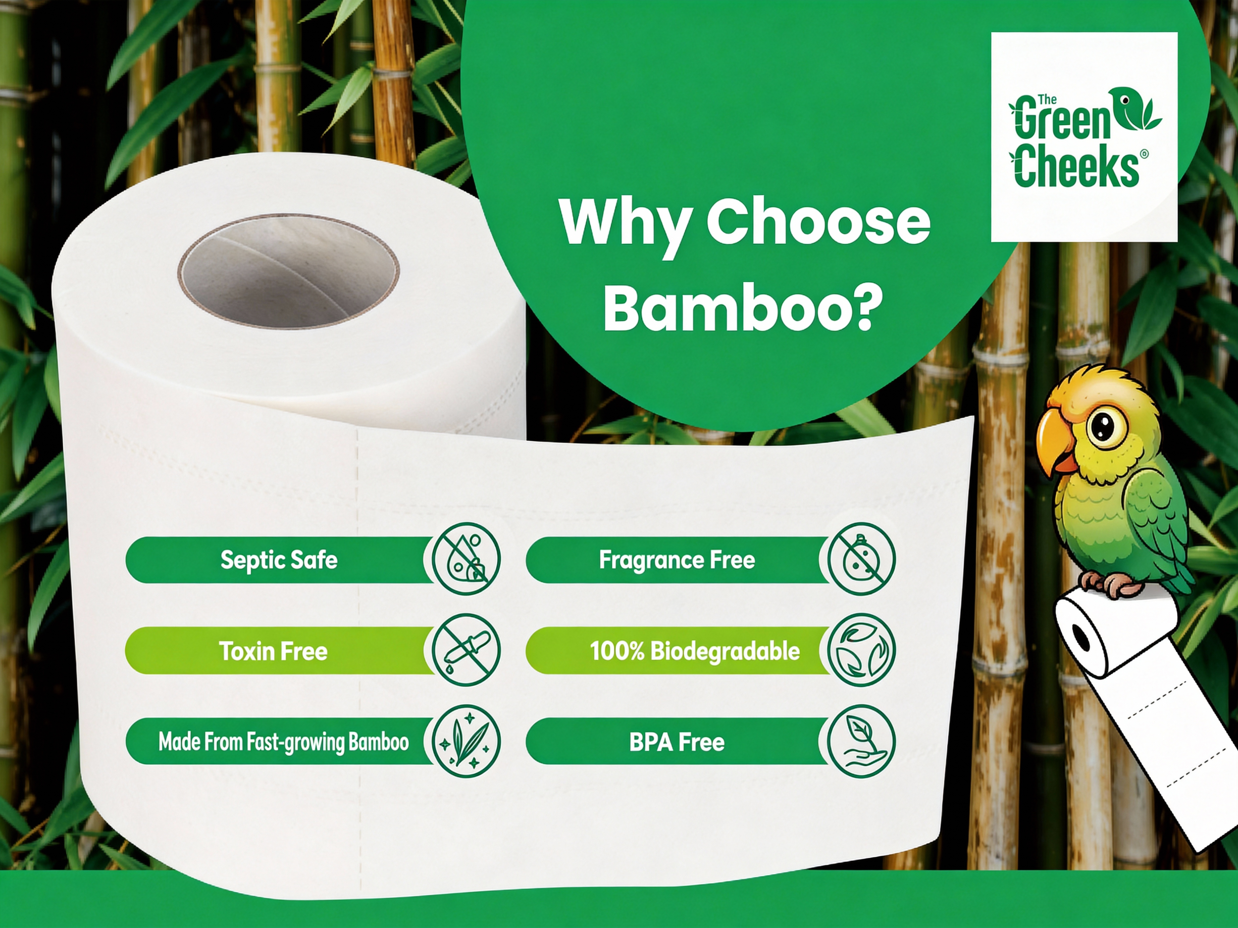 A roll of toilet paper in front of bamboo stalks with a green sign that says "Why Choose Bamboo?" and a list of benefits including septic safe, toxin free, made from fast-growing bamboo, fragrance free, 100% biodegradable, and BPA free. A cartoon bir