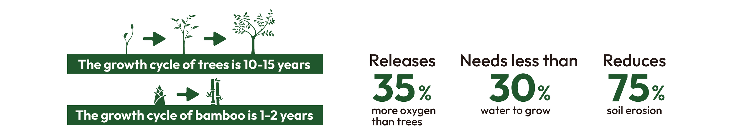 Diagram comparing growth cycles of trees and bamboo, highlighting that trees grow in 10-15 years and bamboo in 1-2 years. It shows benefits of bamboo: releases 35% more oxygen than trees, needs 30% less water, and reduces 75% soil erosion.