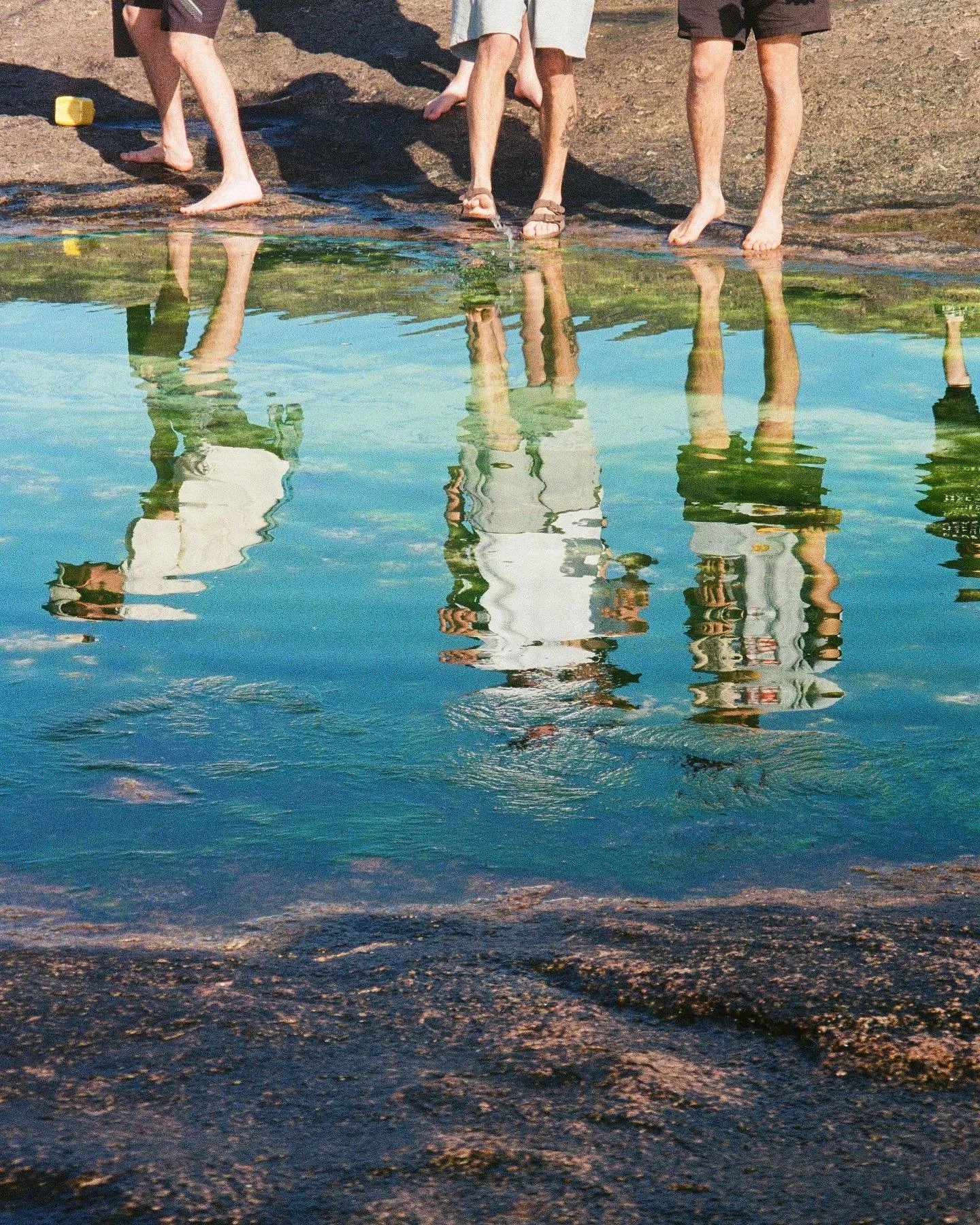 Looking for hidden rock pools sometime in the south west earlier this year 👀 #film #35mm