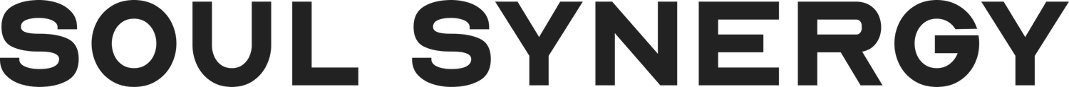 Soul Synergy | Human Design for Founders