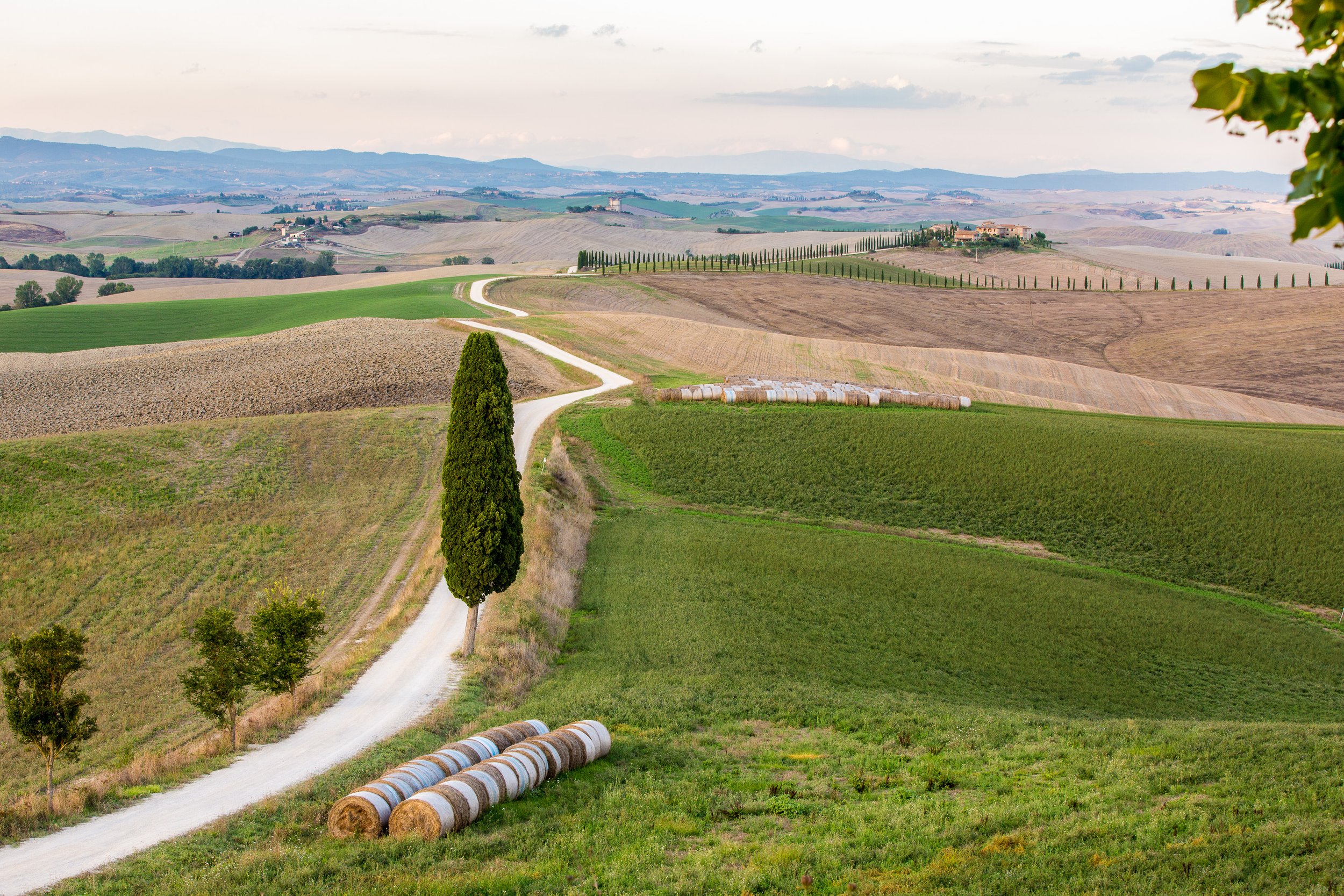 Kopie von Villa-Castello-036-0E8A9638 (1).jpg