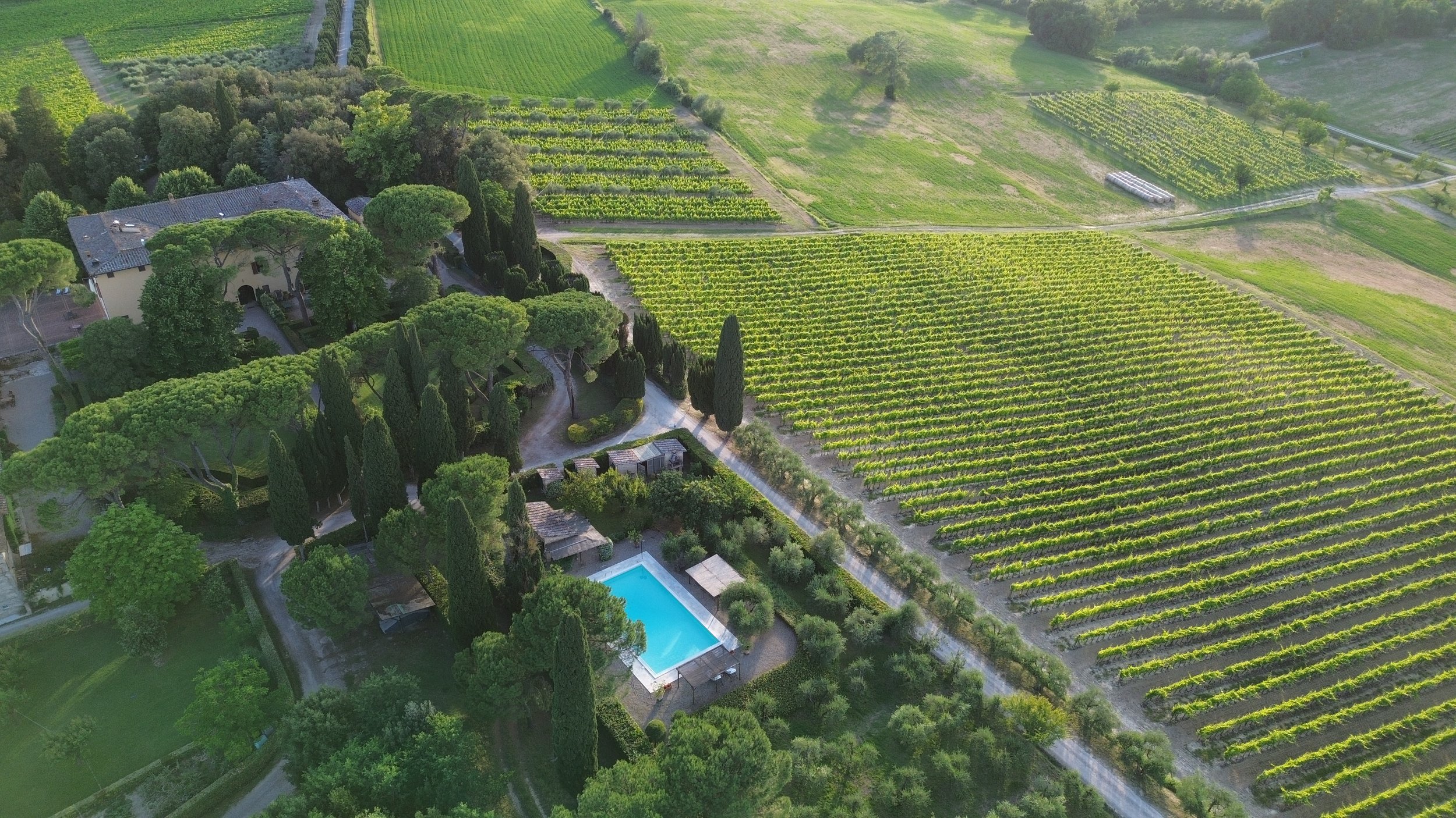 DJI_0382.JPG