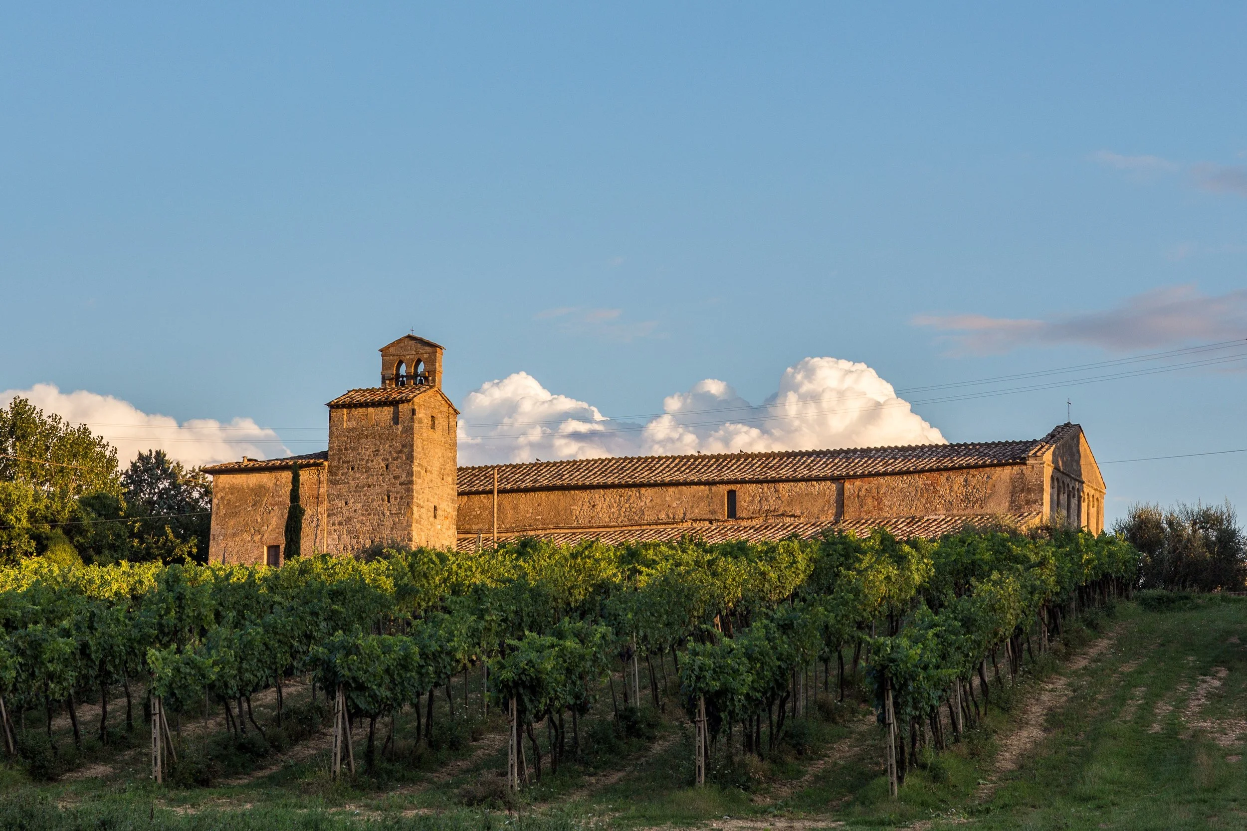 Castello-039-IMG_8092.jpg
