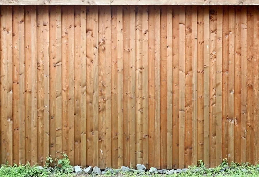 A wooden privacy fence with vertical planks and small rocks at the base, with green plants growing at the bottom.