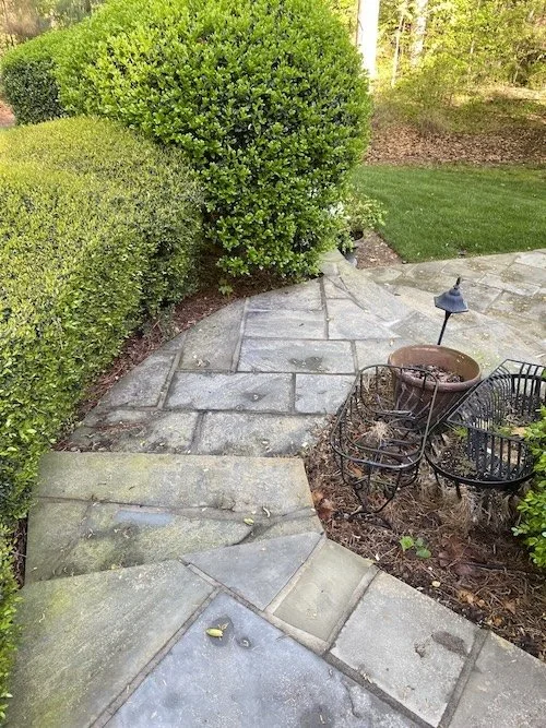 Raleigh Power Wash - Patio Cleaning Before 11.jpg