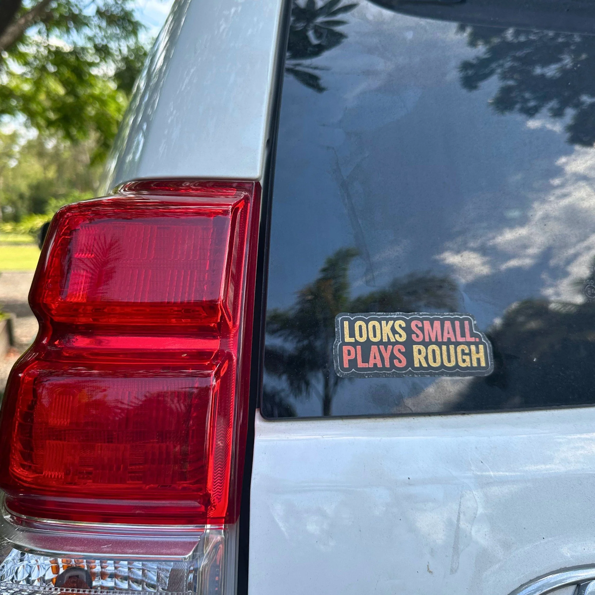 Looks small plays rough vinyl car sticker with bold off road style text
