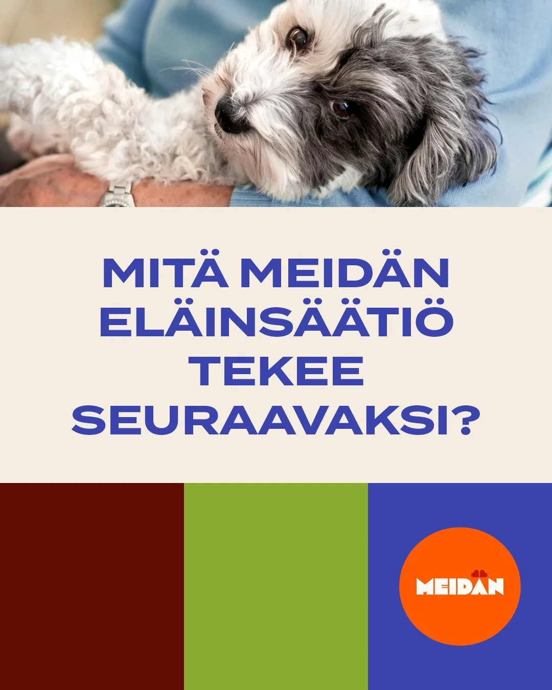 Mit&auml; Meid&auml;n El&auml;ins&auml;&auml;ti&ouml; tekee seuraavaksi?

1. Kehit&auml;mme uuden toimintamallin, 
jonka kautta v&auml;h&auml;varaisille lemmikinomistajille voidaan tarjota maksuttomia el&auml;inl&auml;&auml;k&auml;ri- ja sosiaalisen 