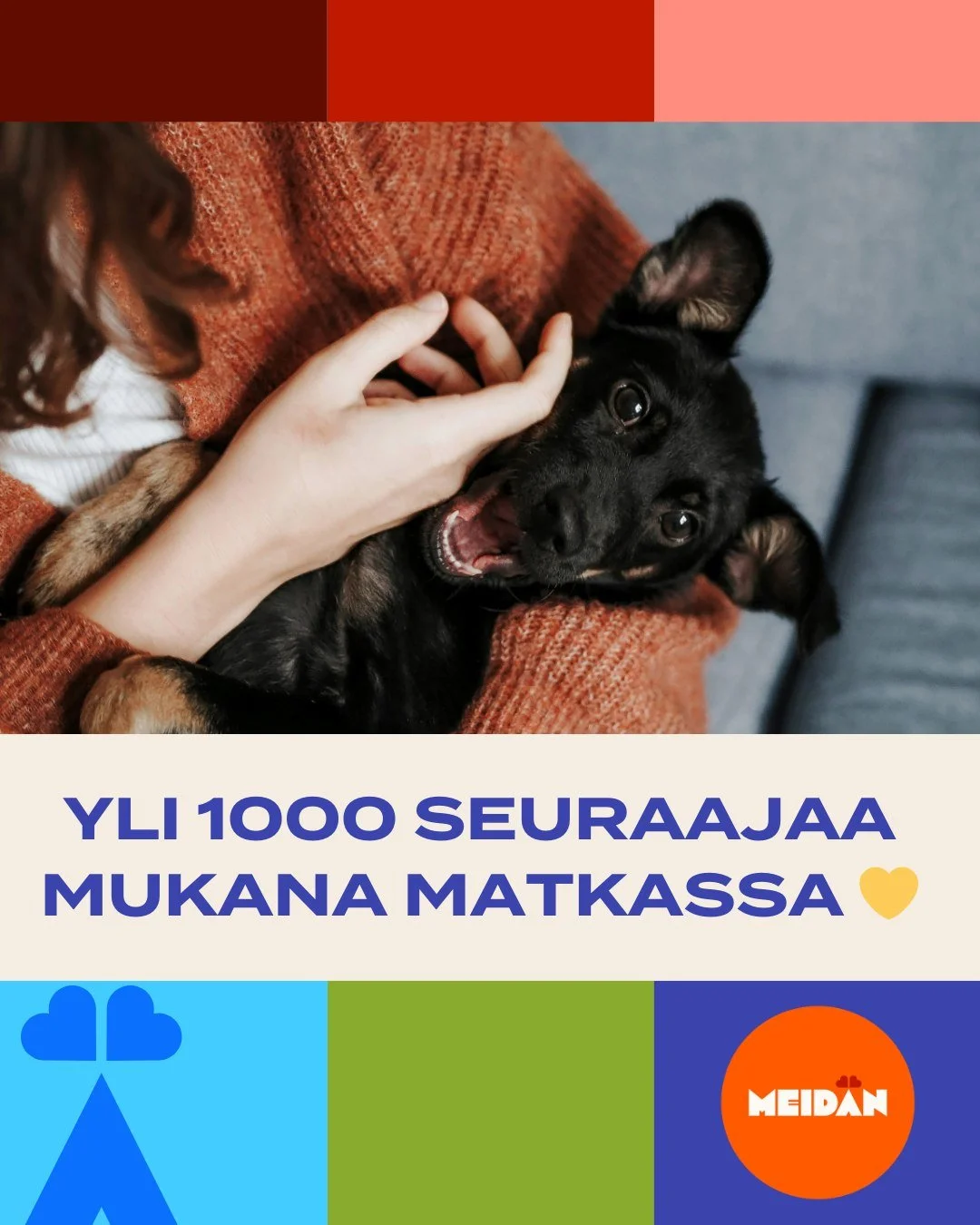 Yli 1000 seuraajaa 💛
Kiitos, ett&auml; olette mukana rakentamassa yhteiskuntaa, jossa yksik&auml;&auml;n lemmikki ei j&auml;&auml; vaille tarvitsemaansa hoitoa &ndash; eik&auml; yksik&auml;&auml;n omistaja ilman tukea, kun taloudelliset voimavarat e