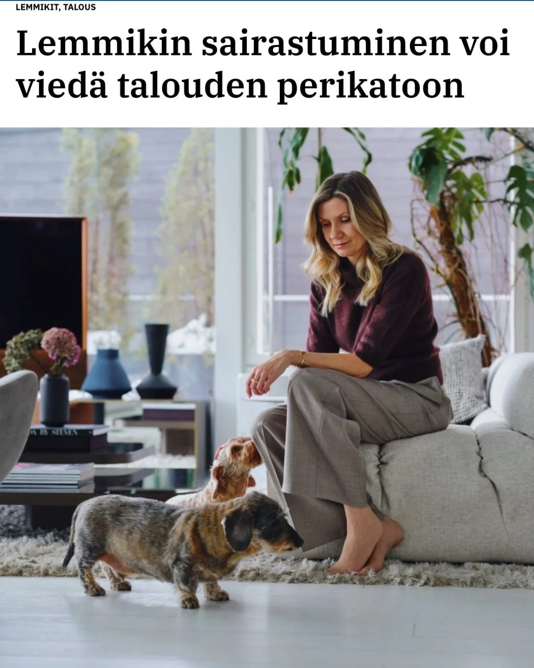 Muutama p&auml;iv&auml; sitten jaoimme kuvan, jossa Gunnar-m&auml;yr&auml;koira varasti show&rsquo;n jo lehden ensimm&auml;isell&auml; aukeamalla 🐾

Nyt koko juttu on luettavissa my&ouml;s verkossa.

Artikkelissa kerrotaan, mist&auml; kimmoke el&aum