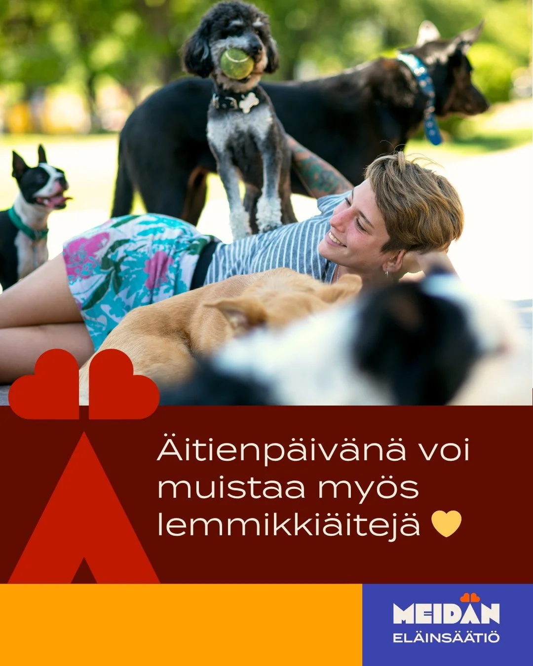 &Auml;itienp&auml;iv&auml;kortti l&ouml;ytyy verkkokaupastamme 🐾💛

Linkki biossa.